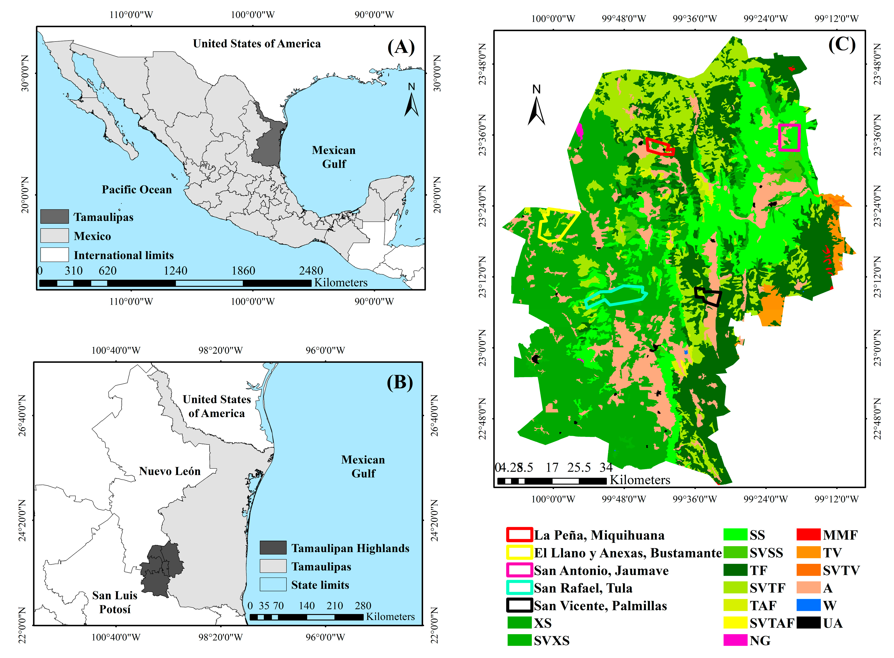 Forests 14 00815 g001 Forests 14 00815 g001