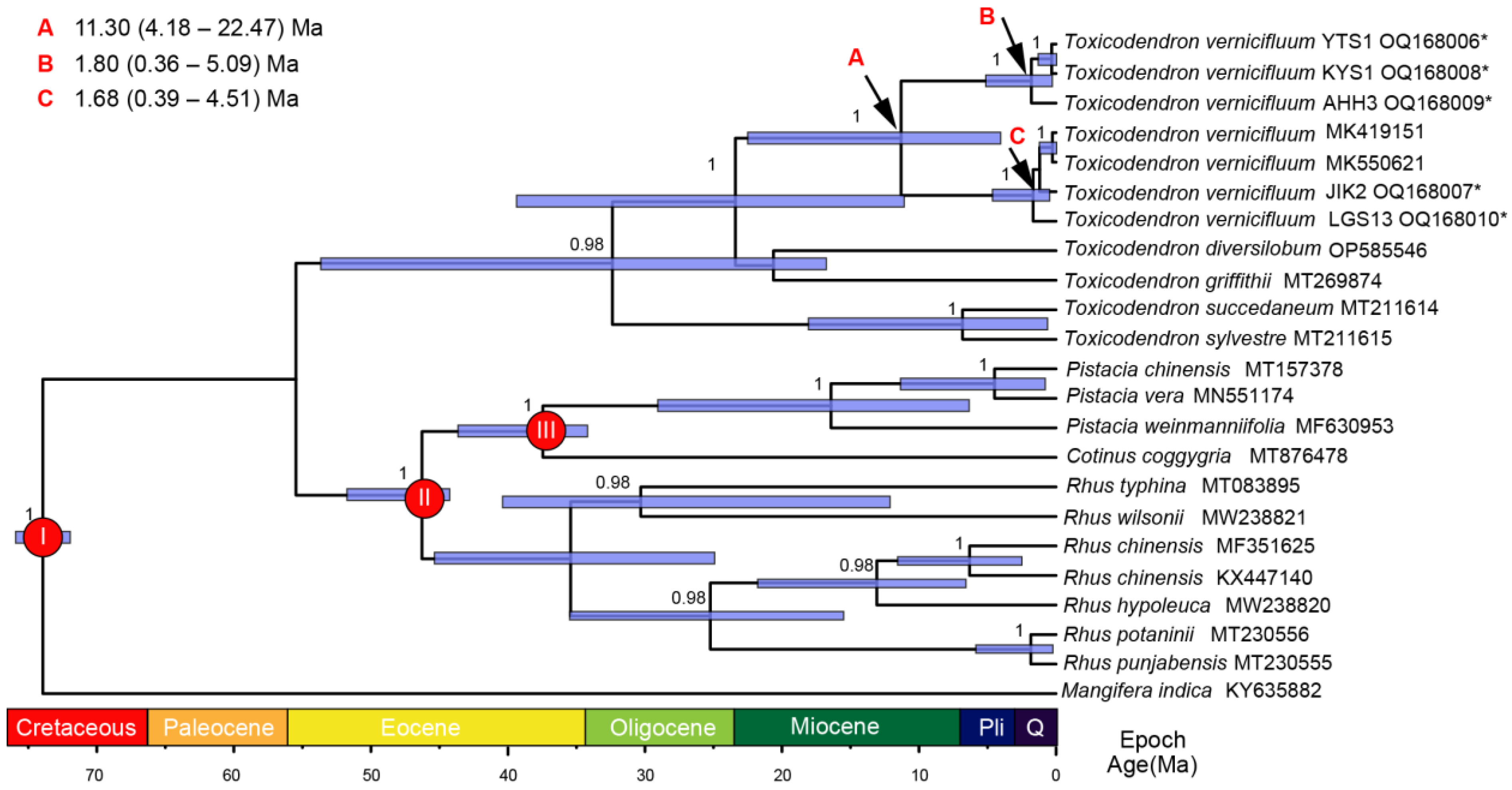 Forests 14 00818 g004 Forests 14 00818 g004