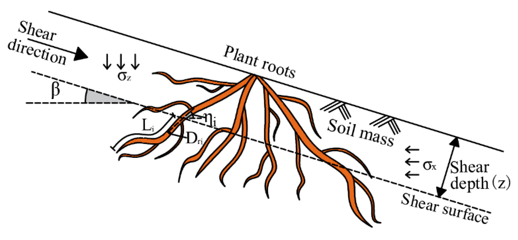 Forests 14 00819 g022