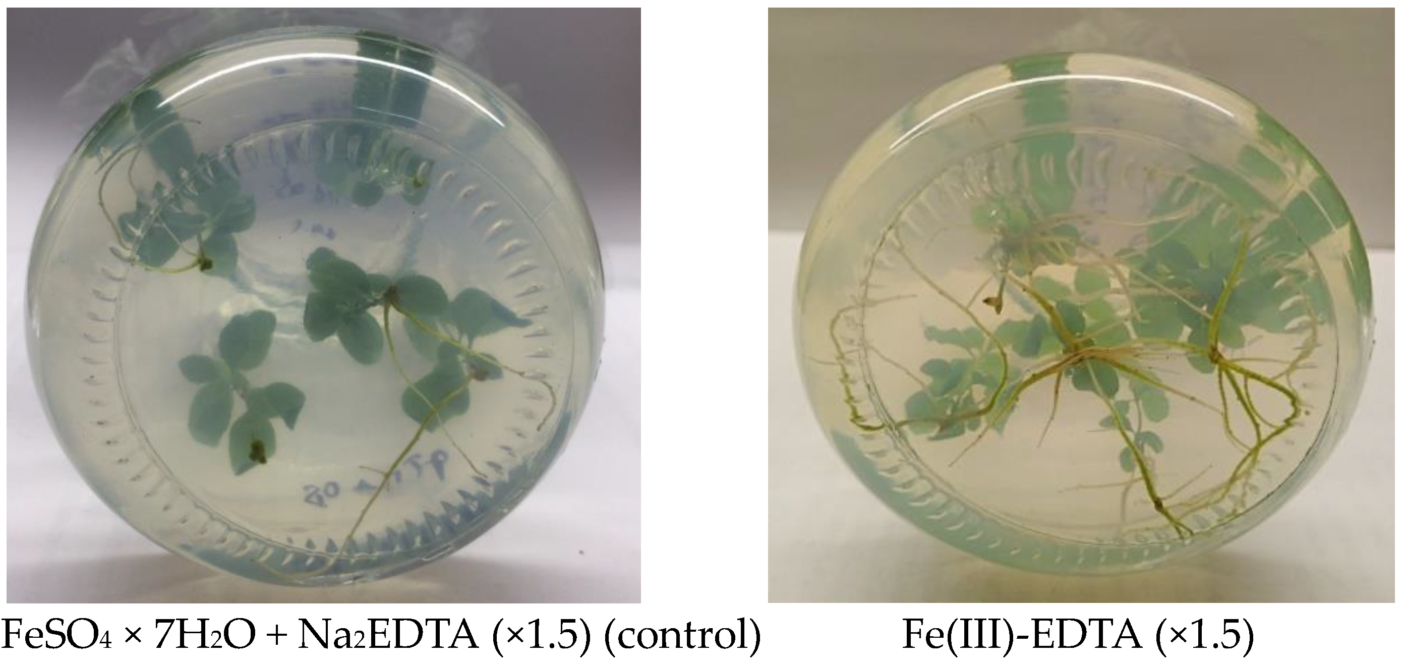 Forests 14 00821 g004a