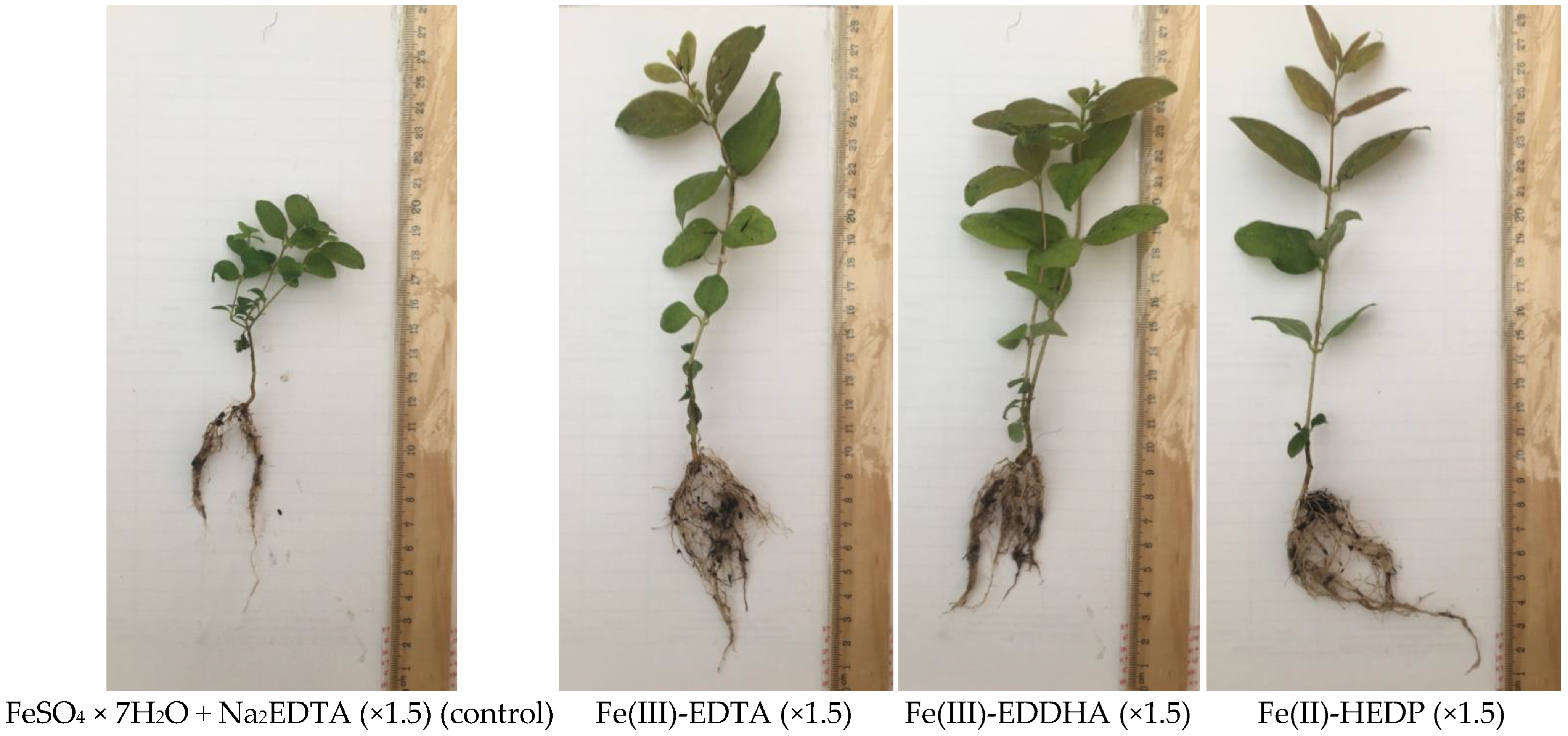 Forests 14 00821 g005