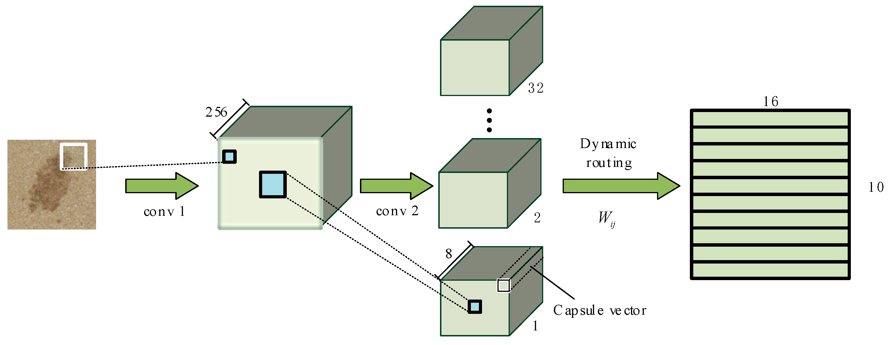 Forests 14 00822 g001