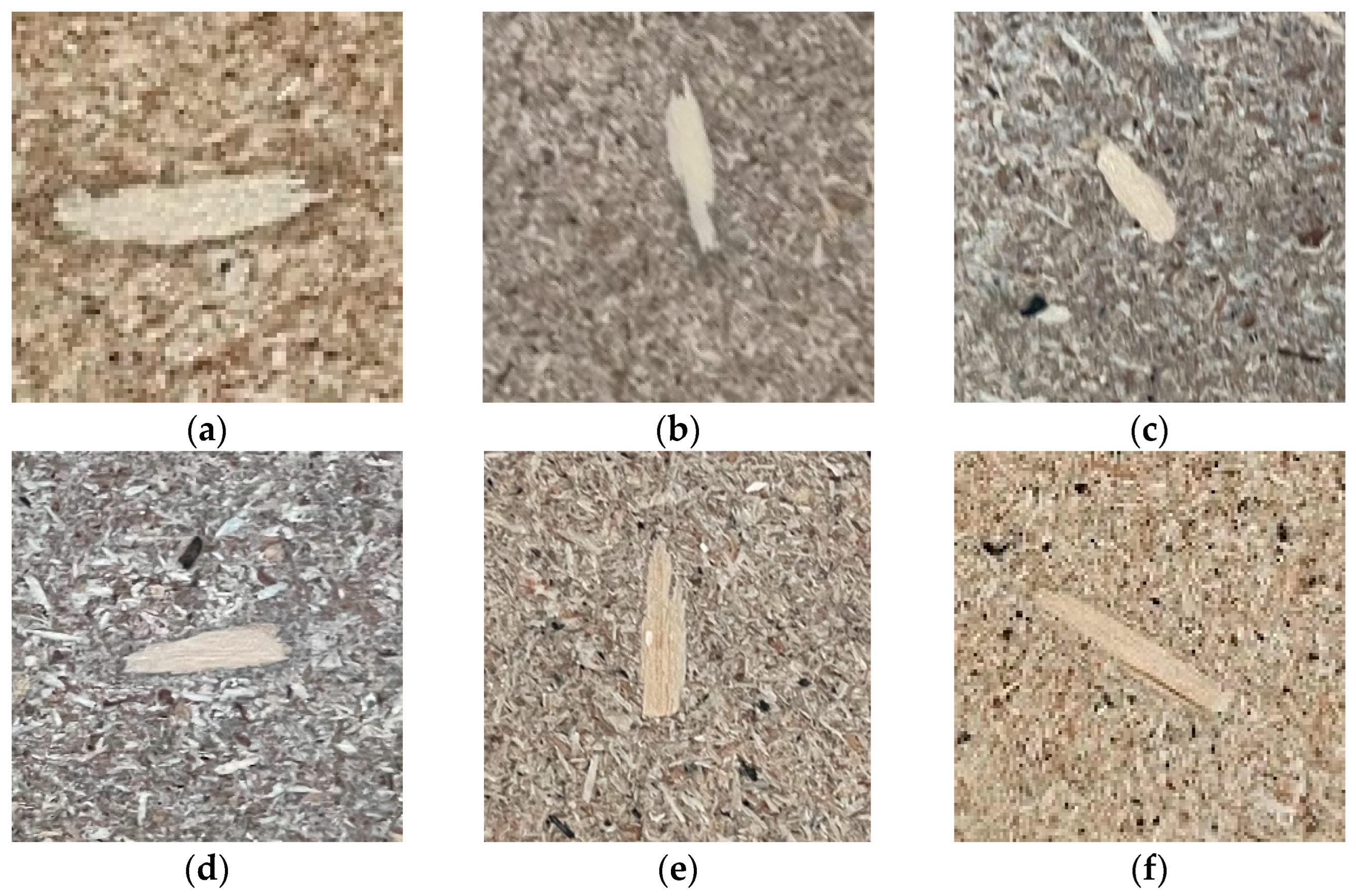 Forests 14 00822 g008a