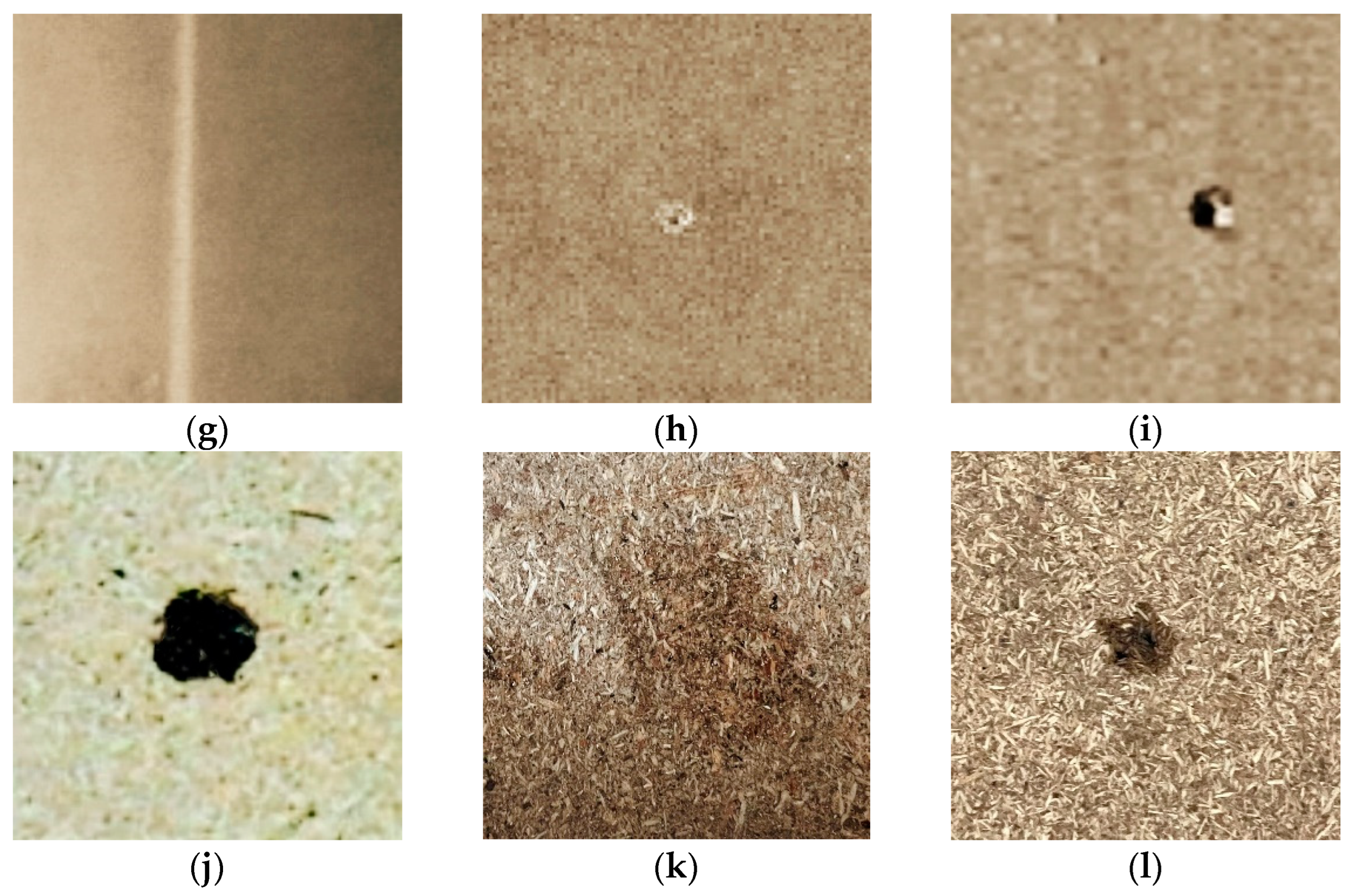 Forests 14 00822 g008b