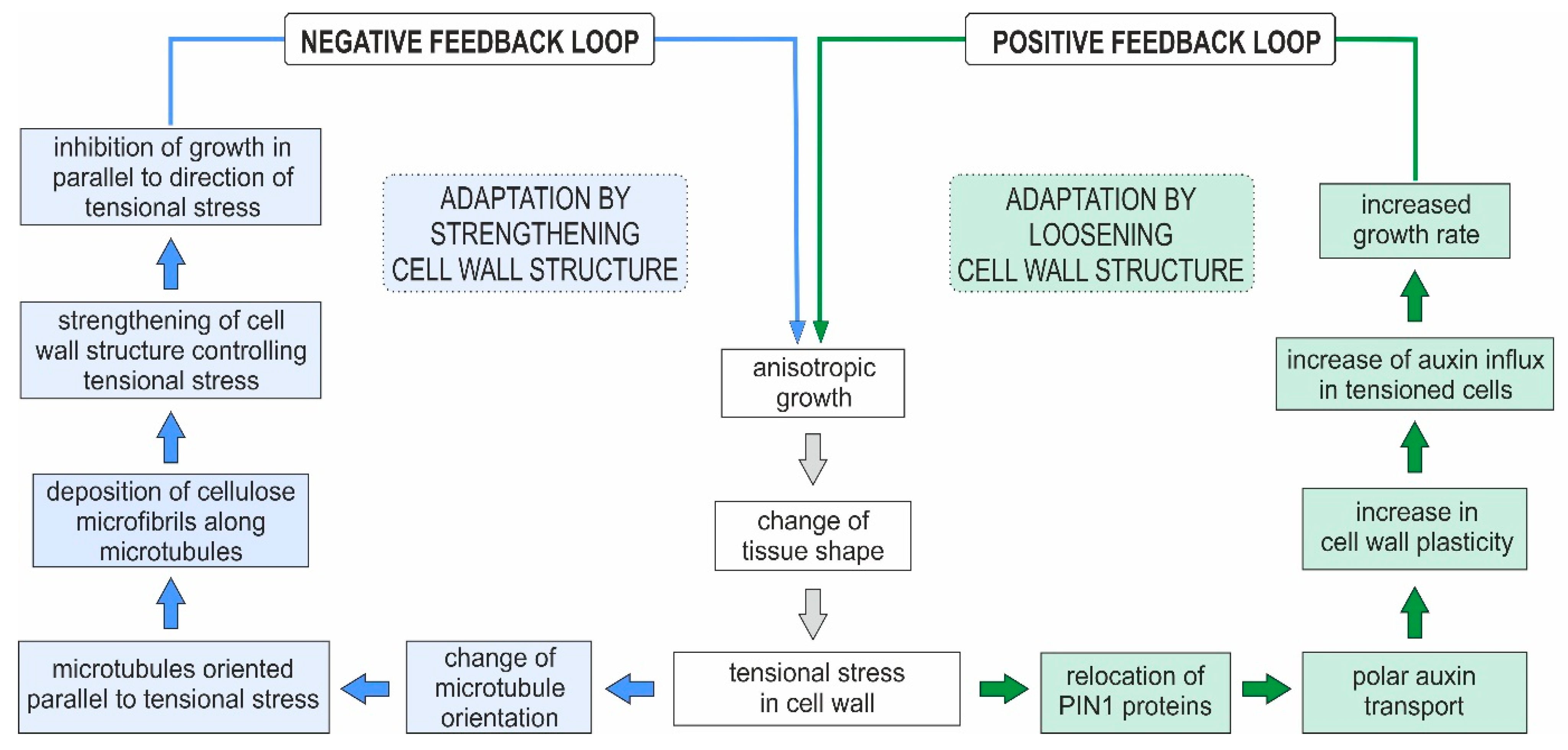 Forests 14 00823 g003