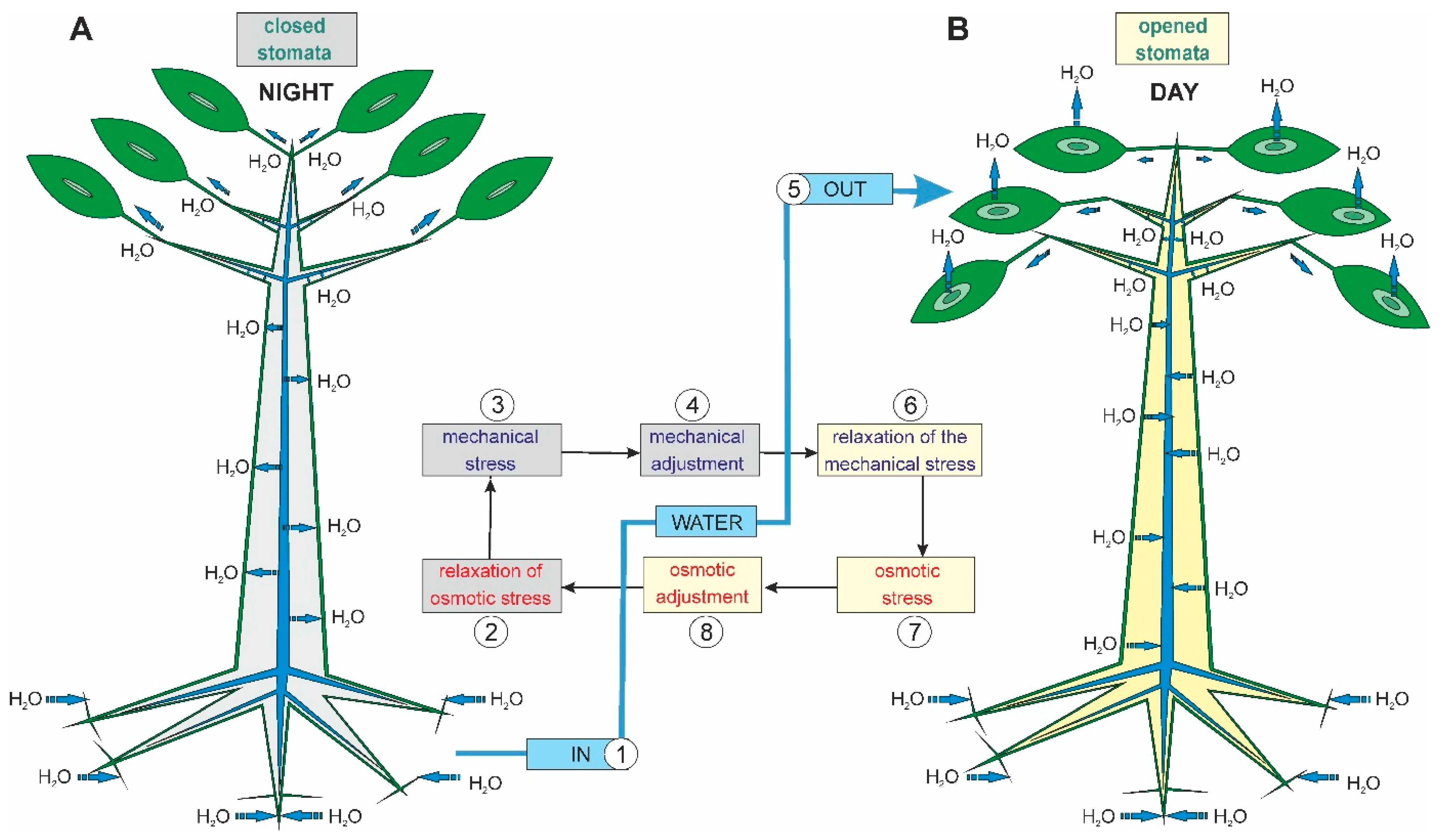 Forests 14 00823 g004