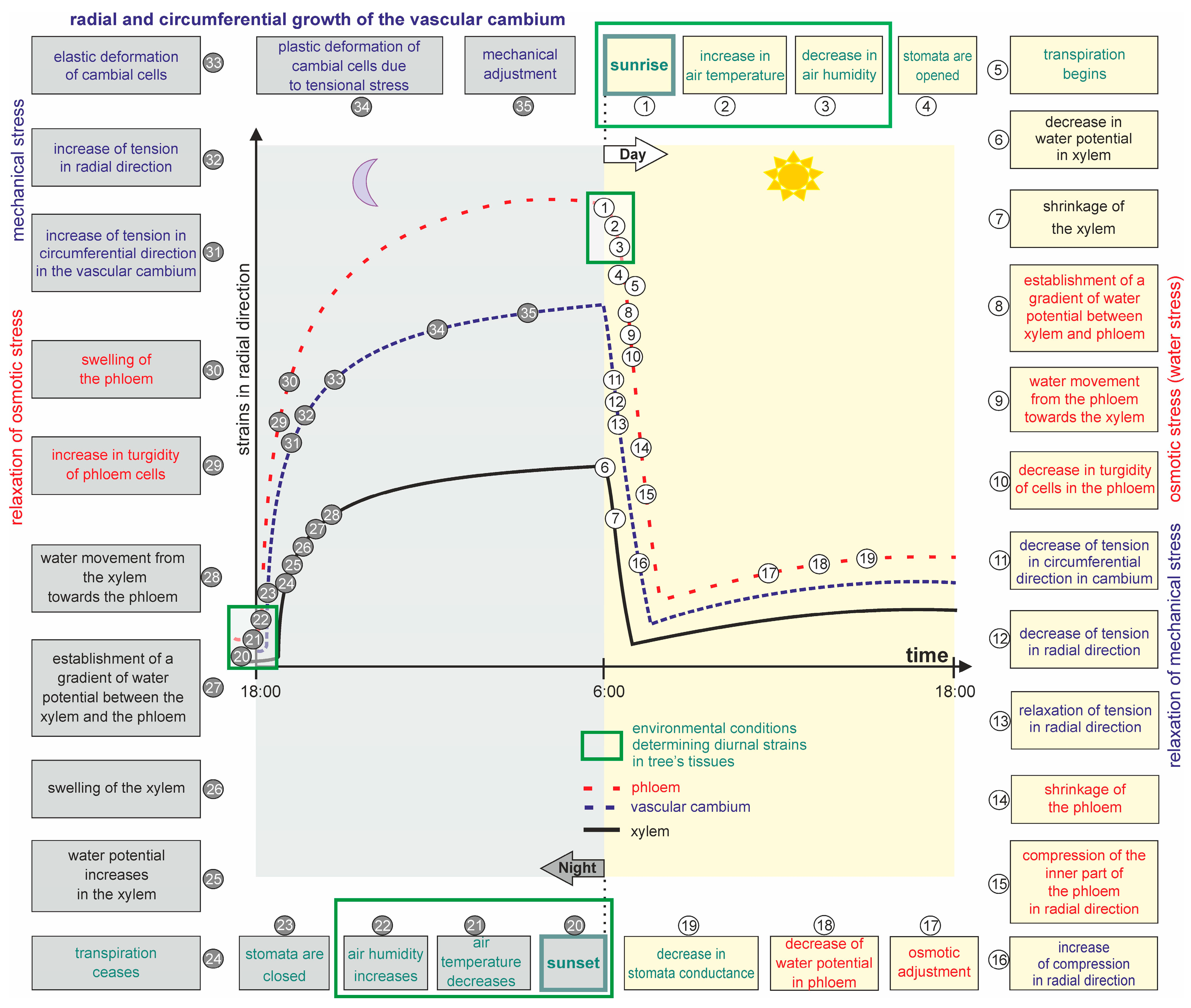 Forests 14 00823 g006