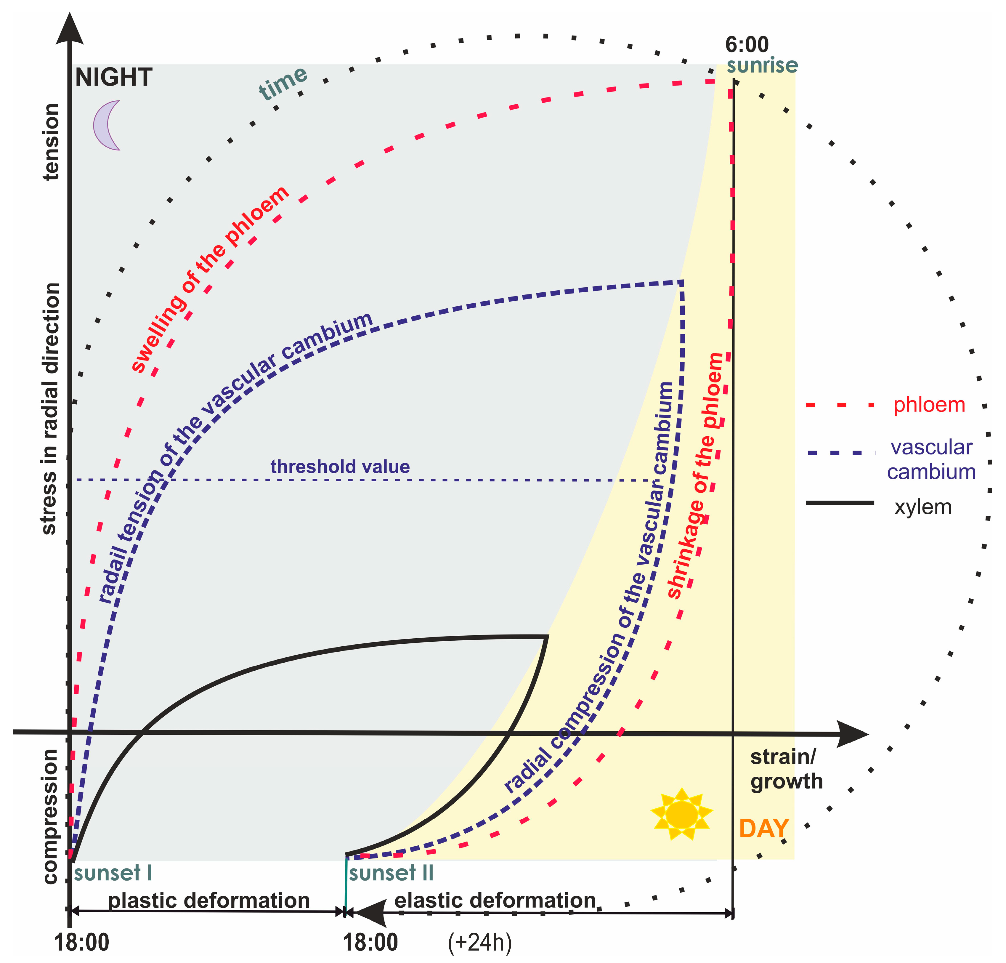 Forests 14 00823 g007