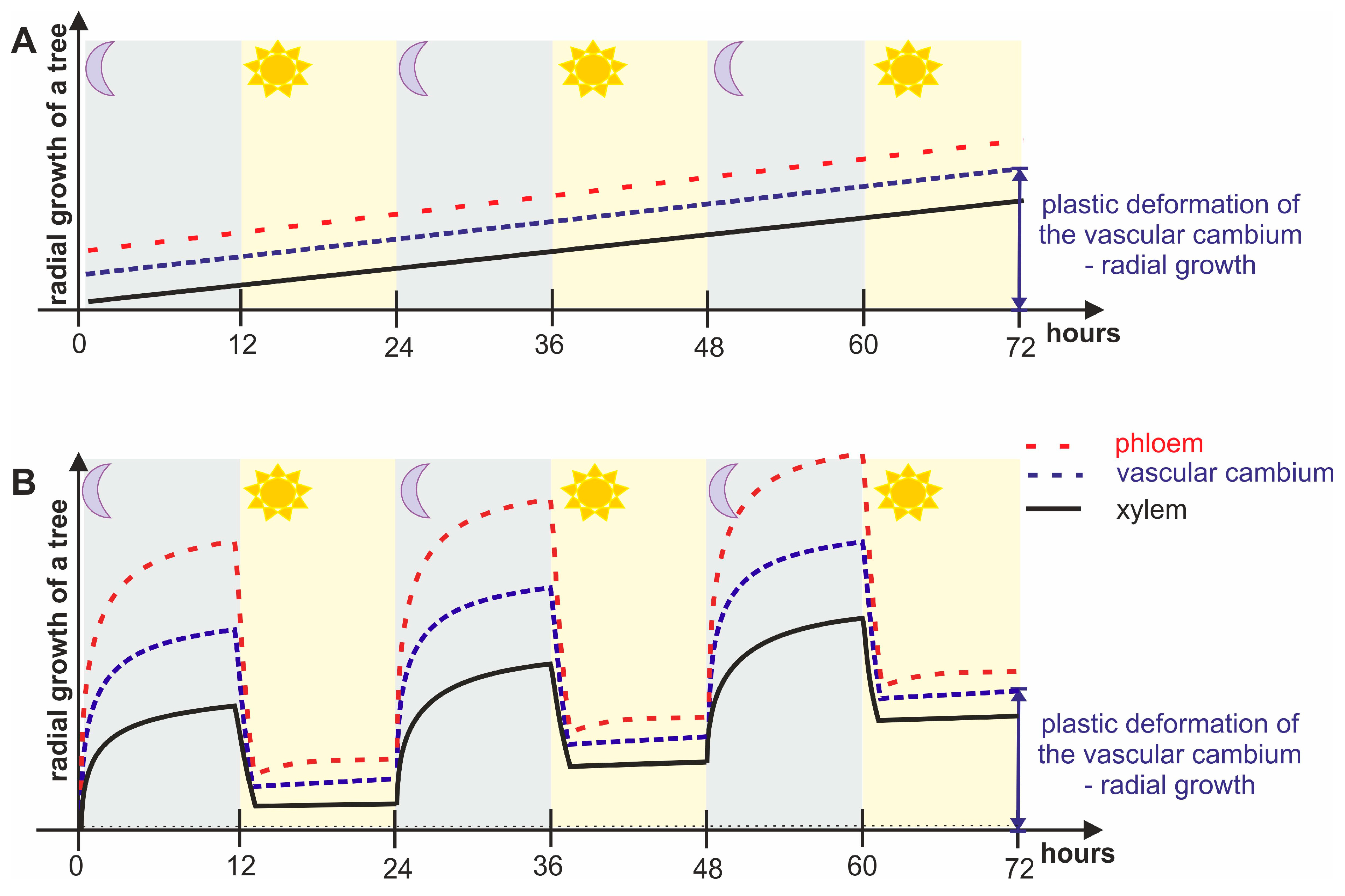 Forests 14 00823 g009