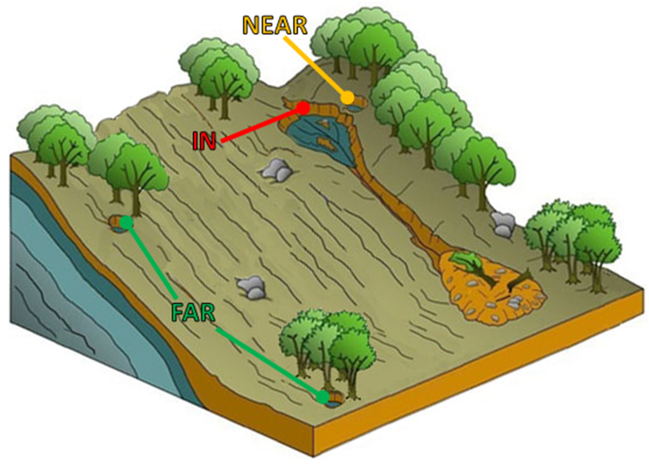 Forests 14 00825 g009 Forests 14 00825 g009
