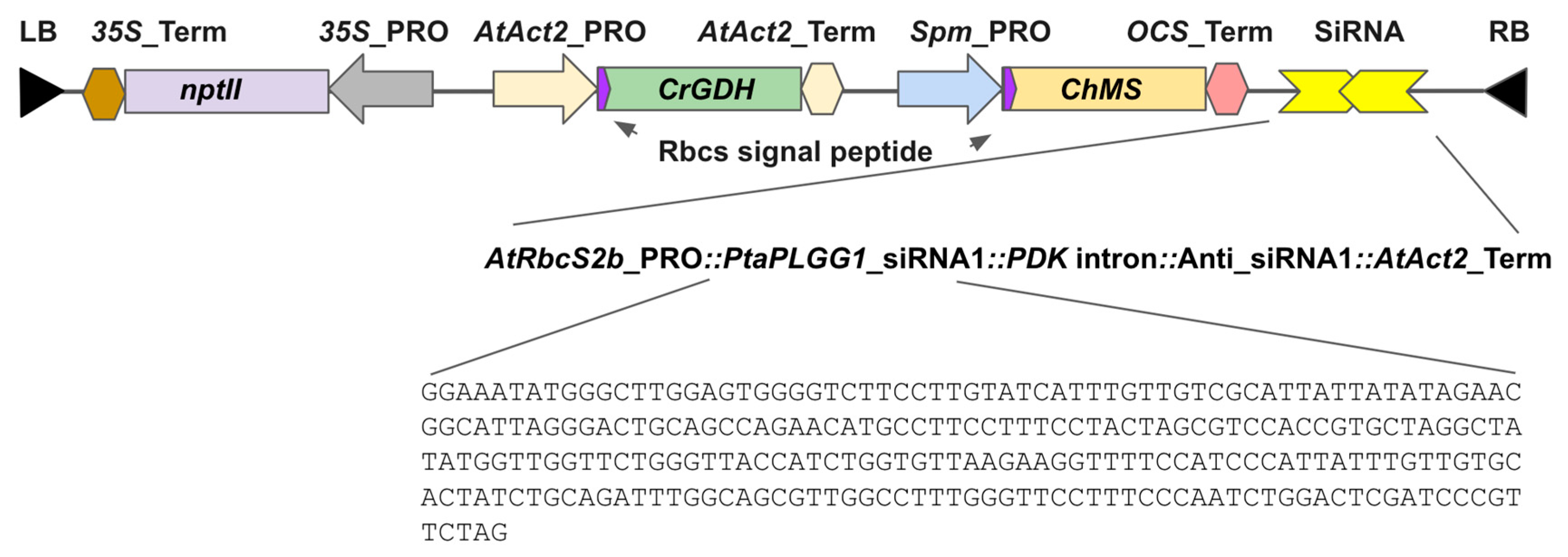 Forests 14 00827 g001