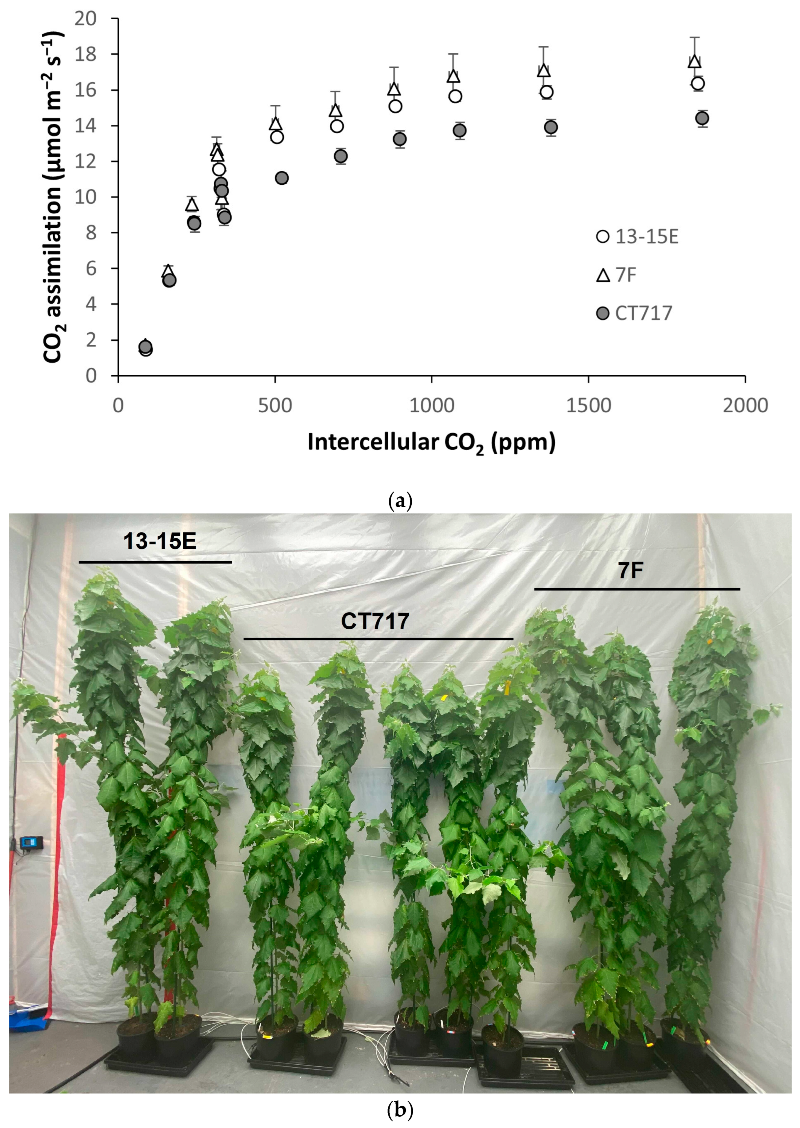 Forests 14 00827 g004a