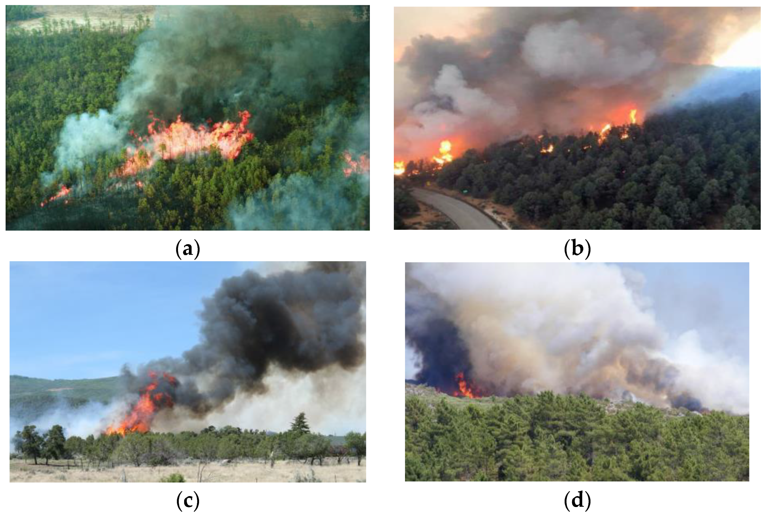 Forests 14 00833 g001 Forests 14 00833 g001