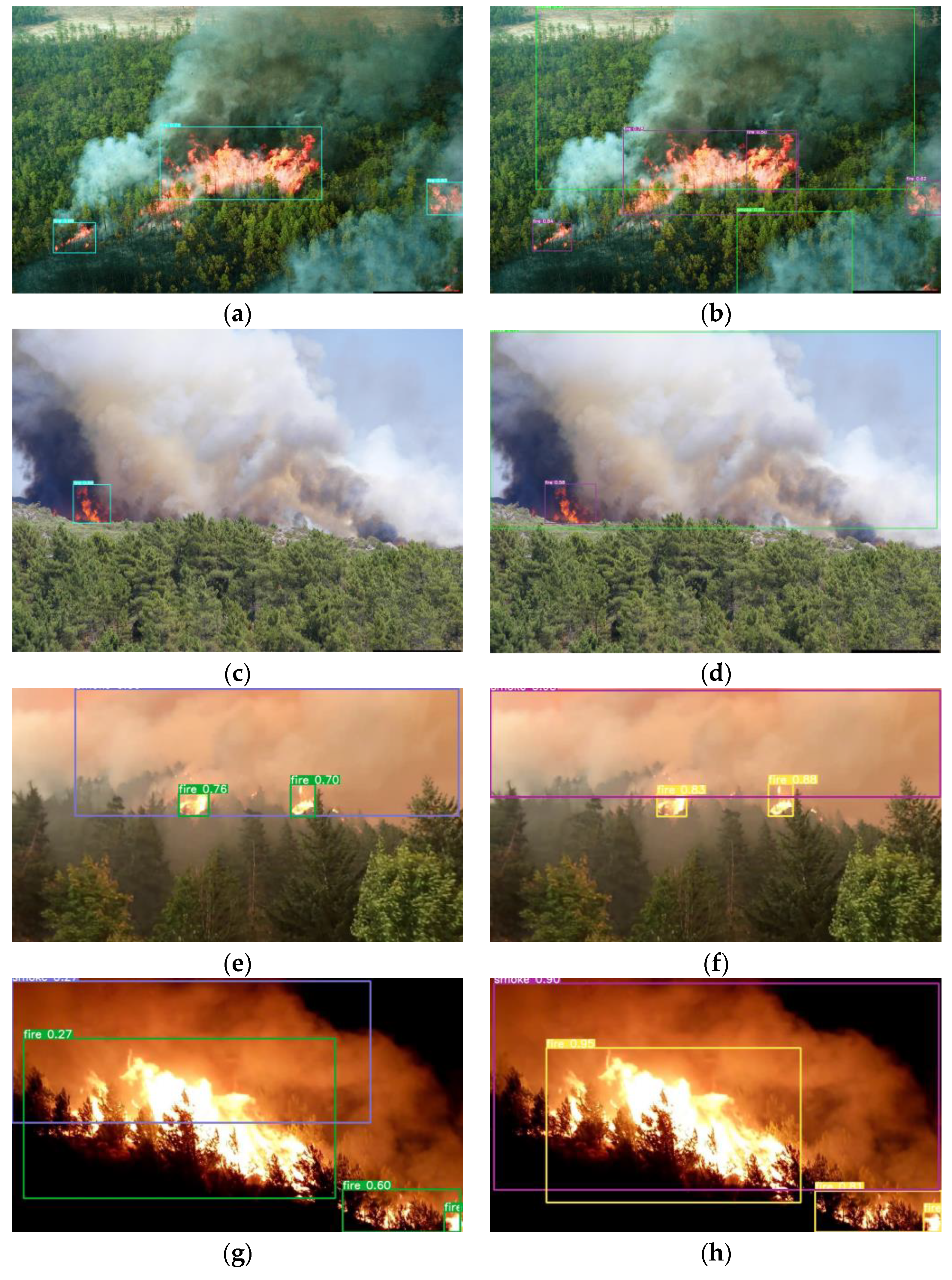 Forests 14 00833 g007 Forests 14 00833 g007