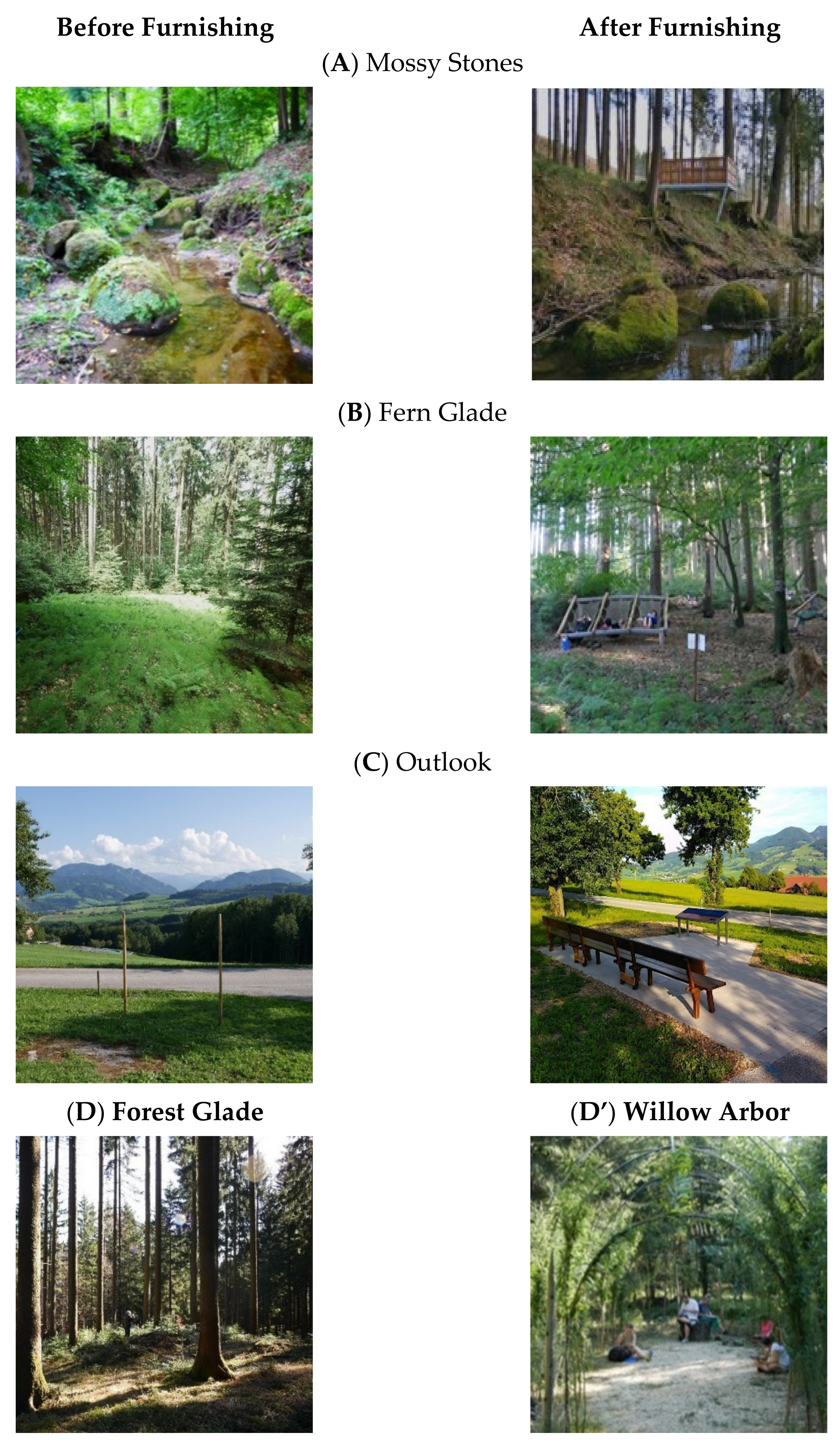 Forests 14 00836 g001