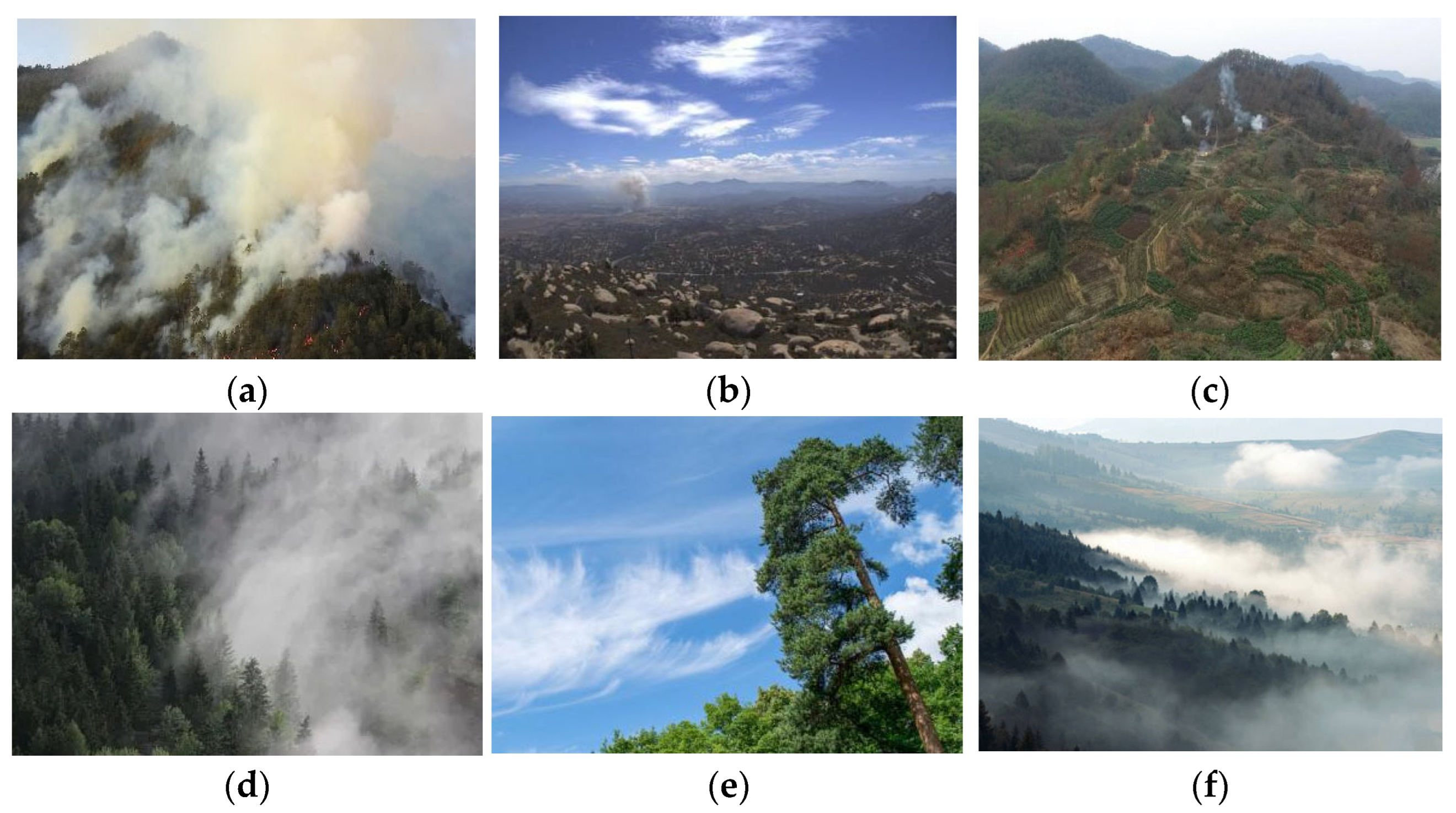 Forests 14 00838 g001