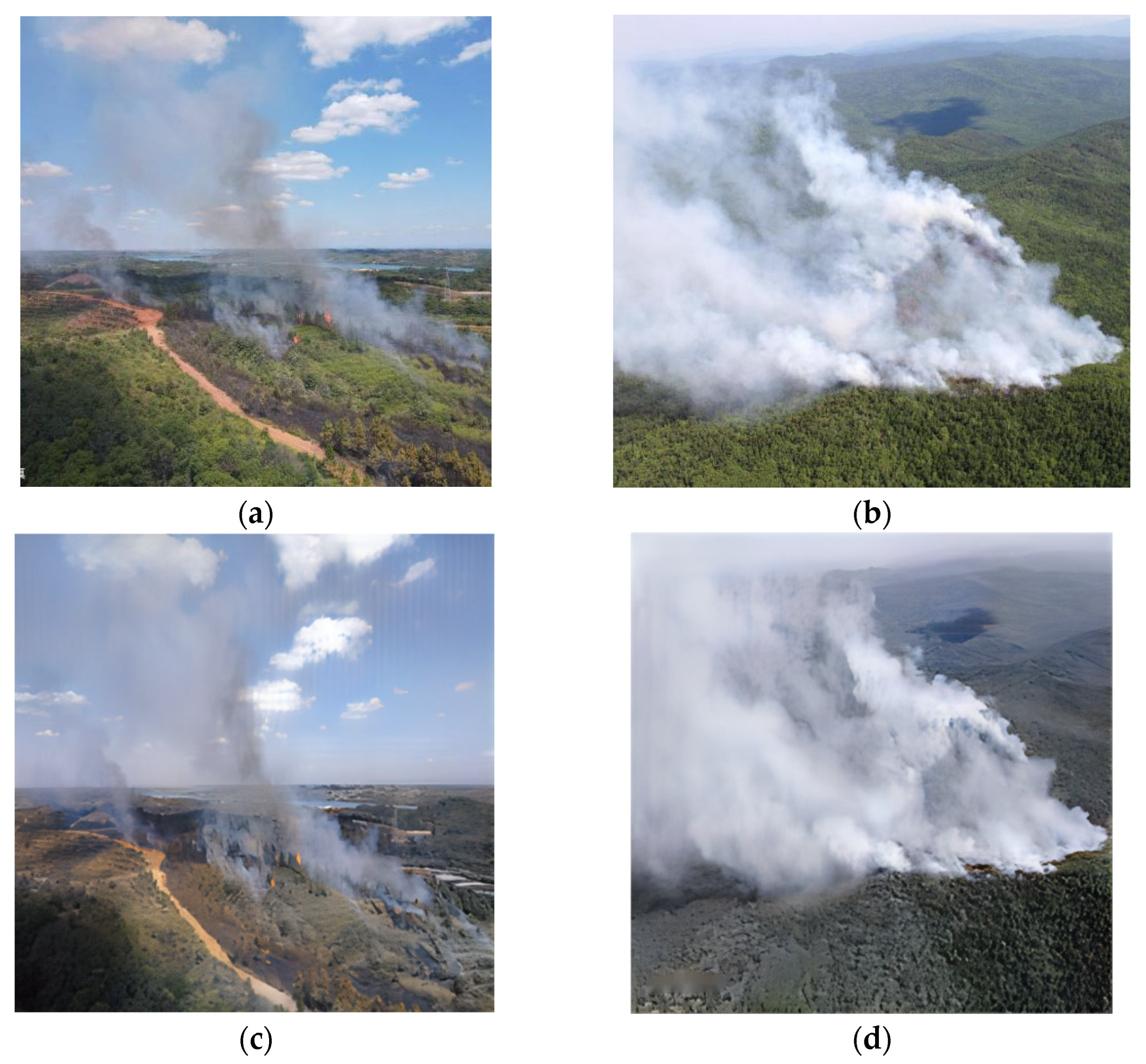 Forests 14 00838 g003