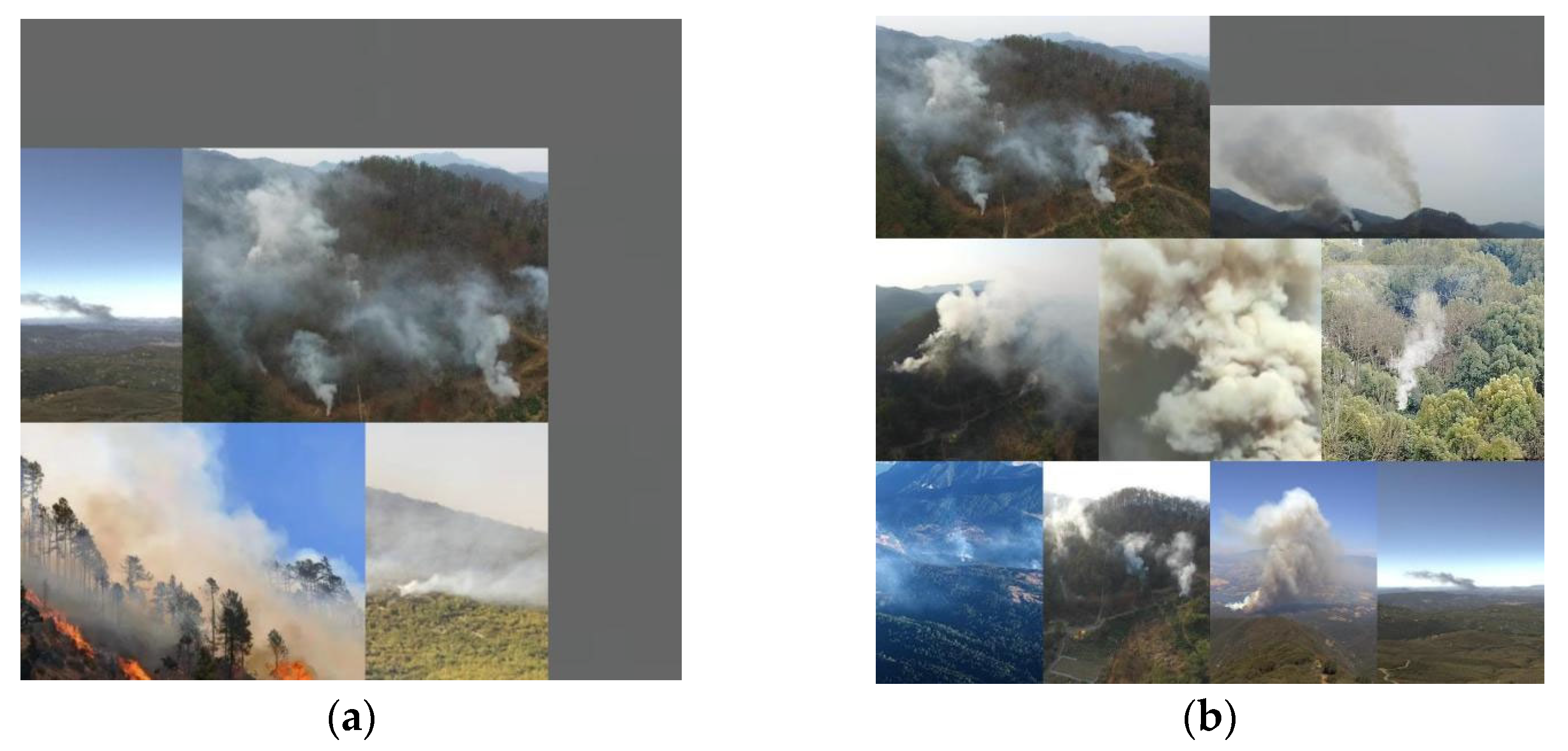 Forests 14 00838 g004