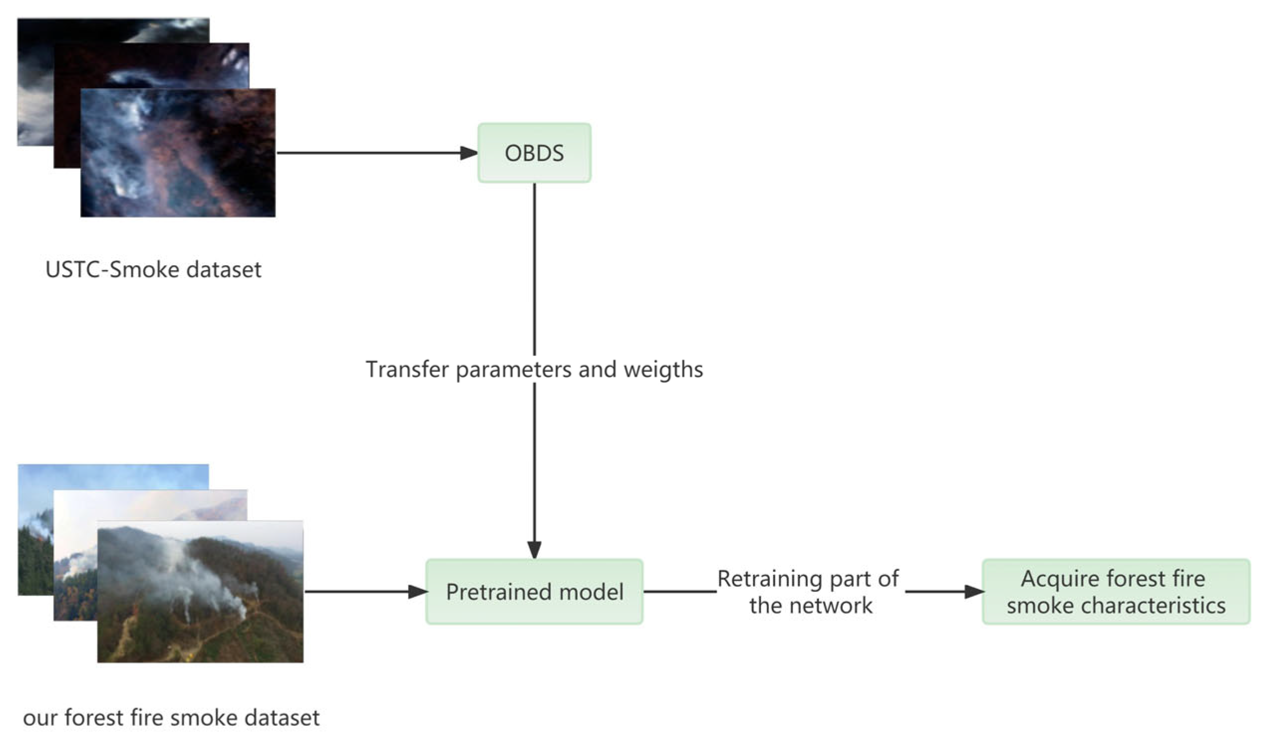 Forests 14 00838 g010