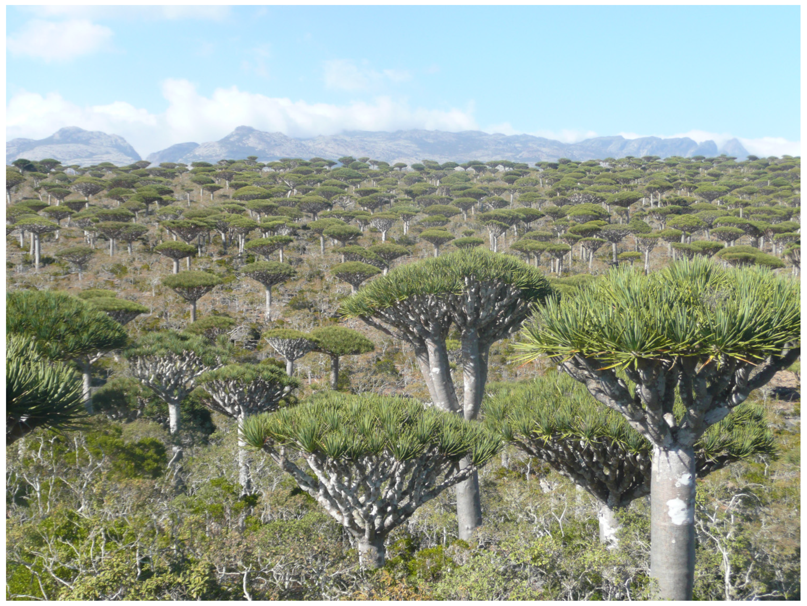 Forests 14 00840 g001 Forests 14 00840 g001