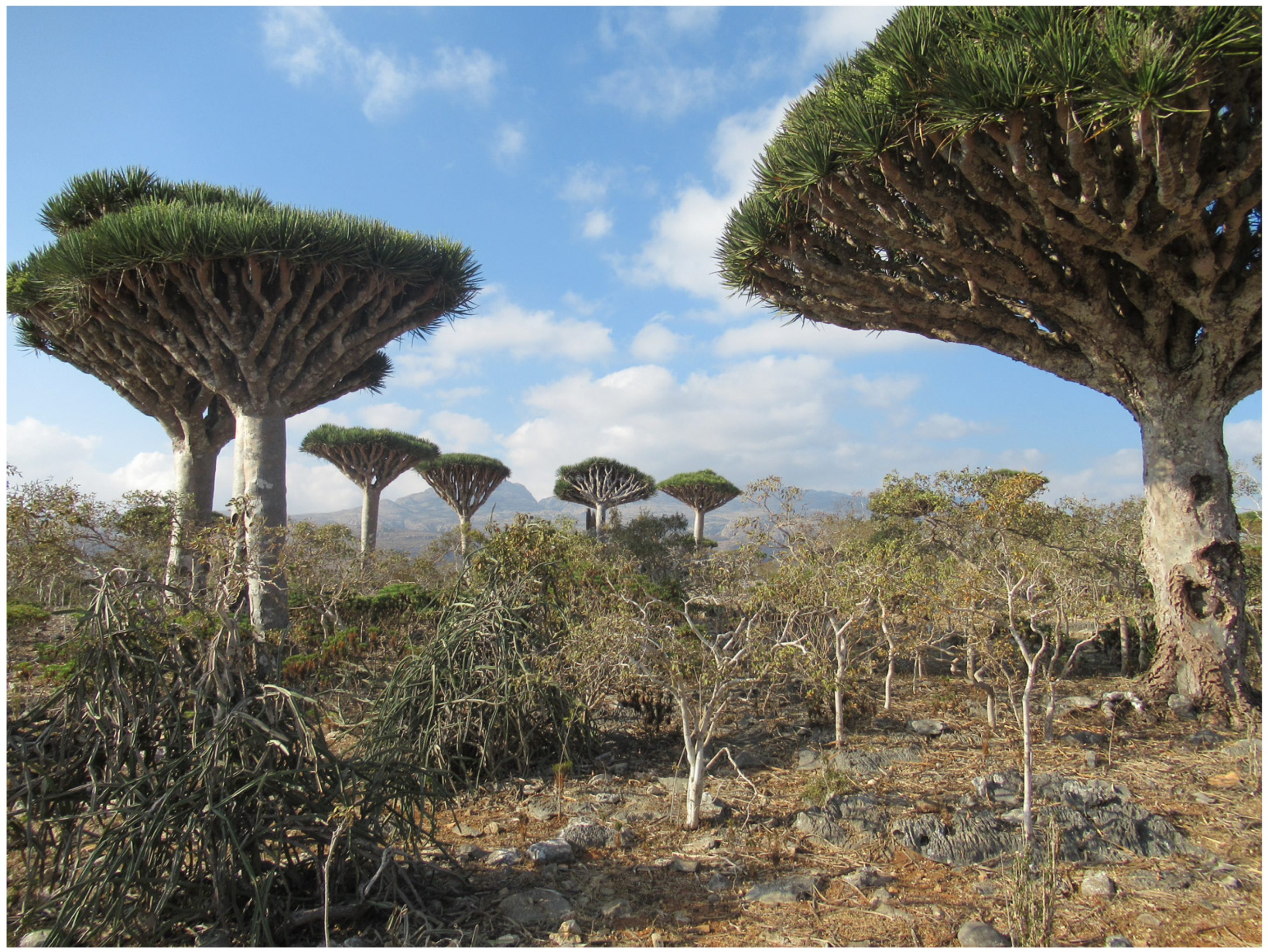 Forests 14 00840 g002 Forests 14 00840 g002