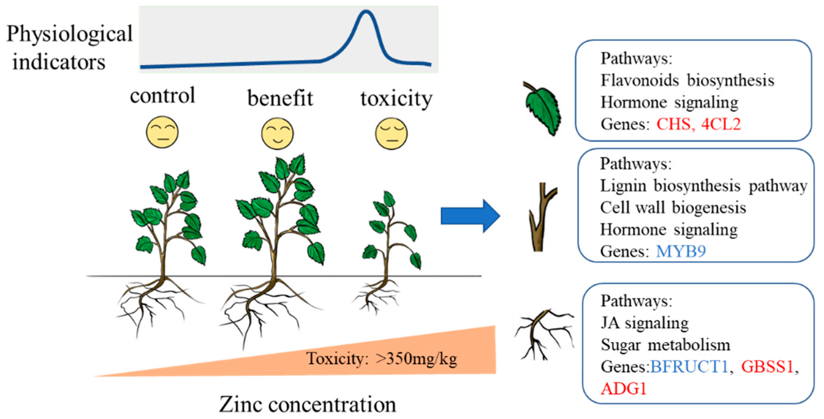 Forests 14 00842 g006 Forests 14 00842 g006