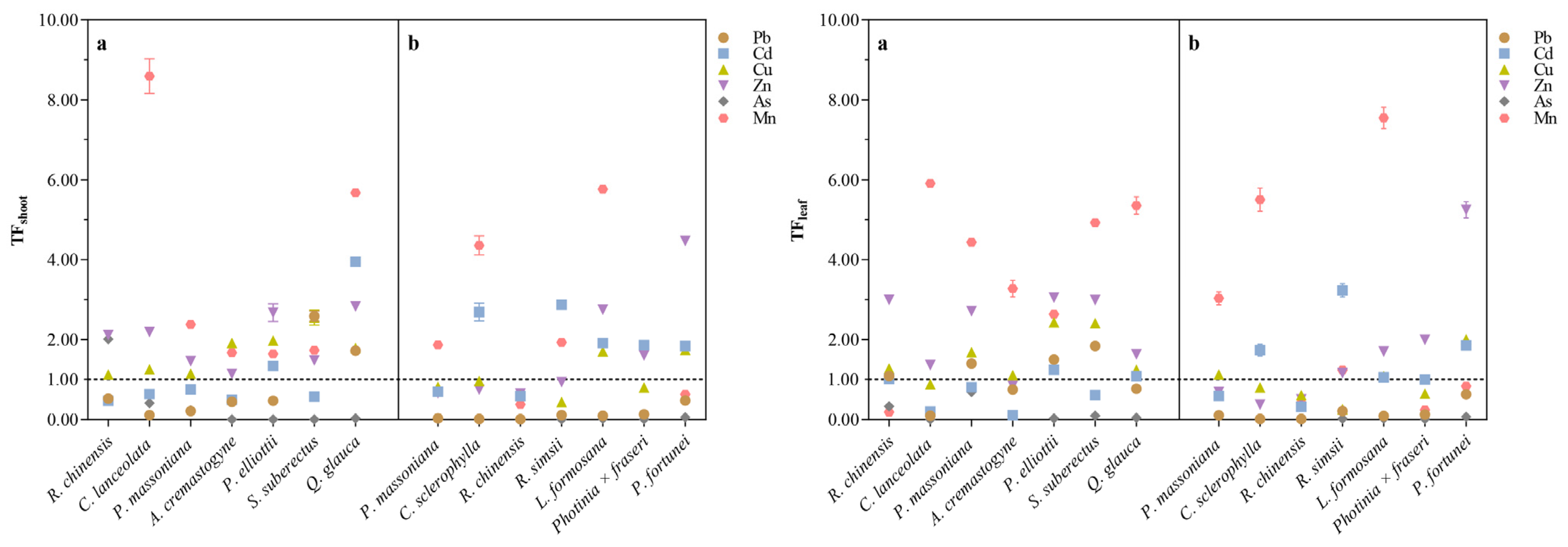 Forests Free FullText Heavy Metal Concentrations and Accumulation