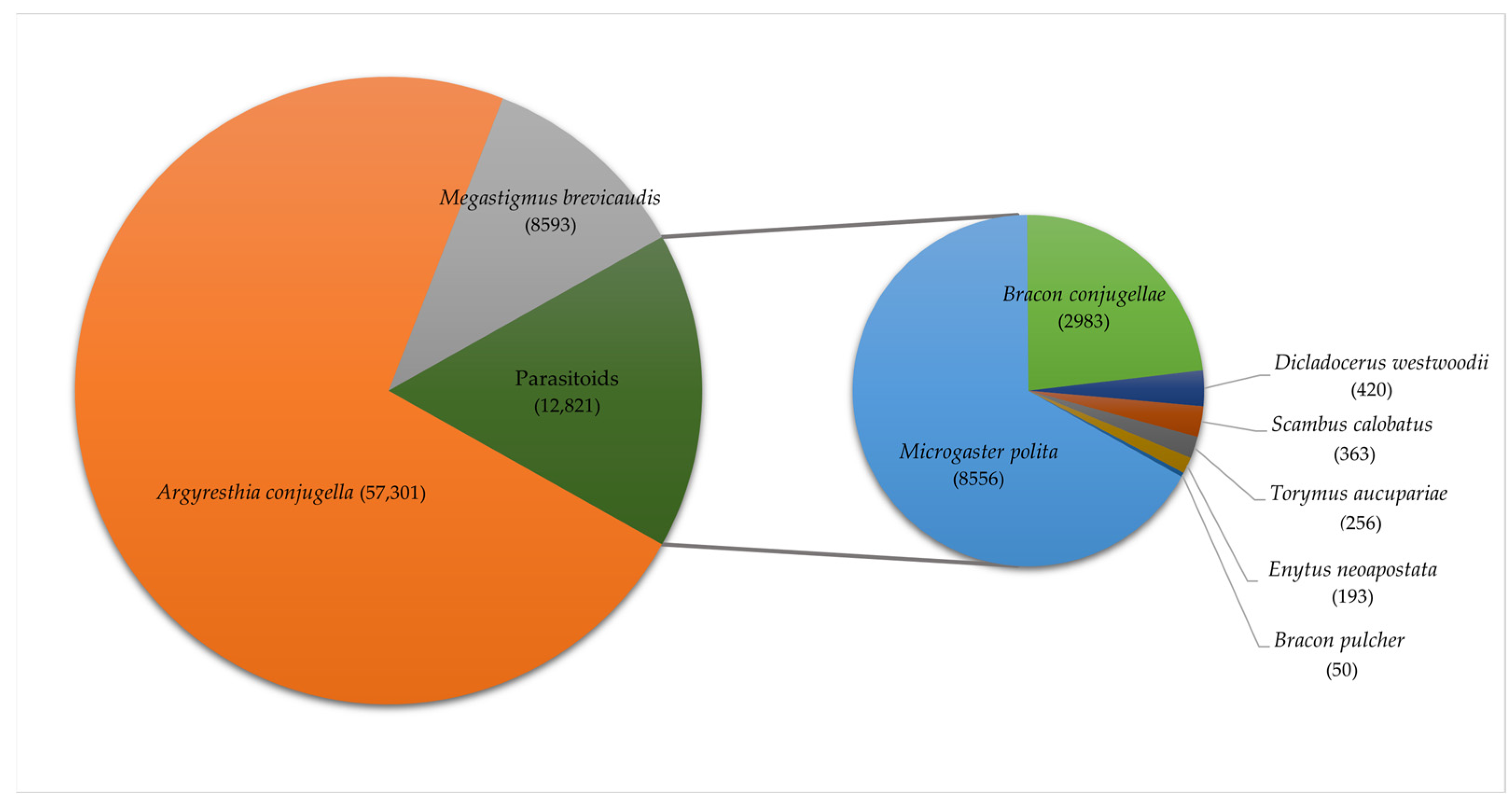 Forests 14 00847 g001 Forests 14 00847 g001