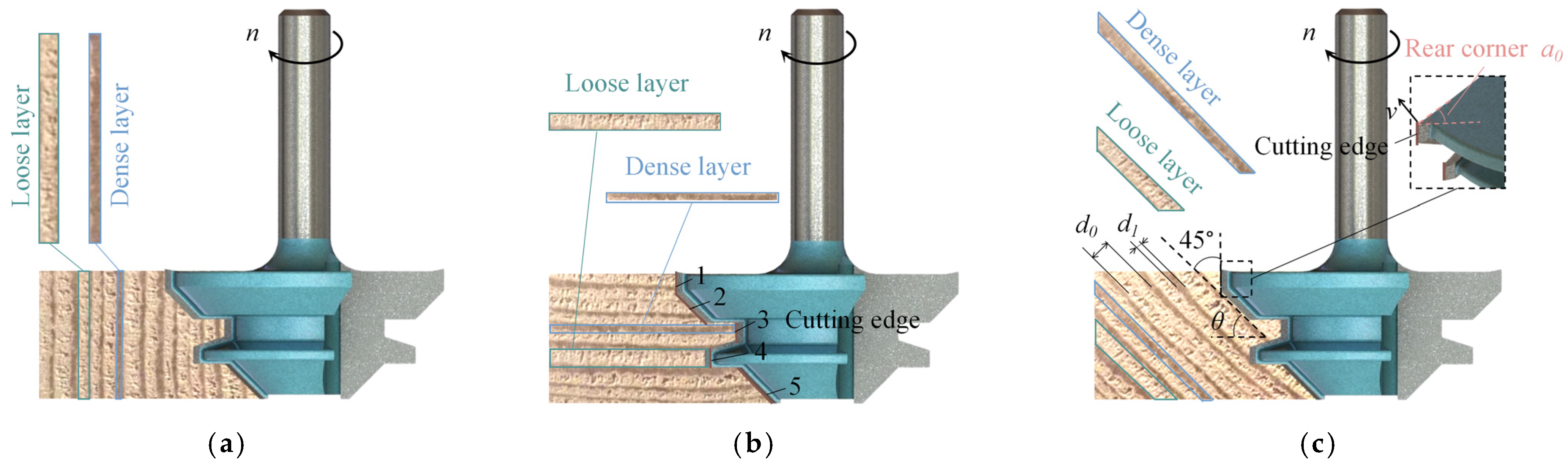 Forests 14 00849 g002