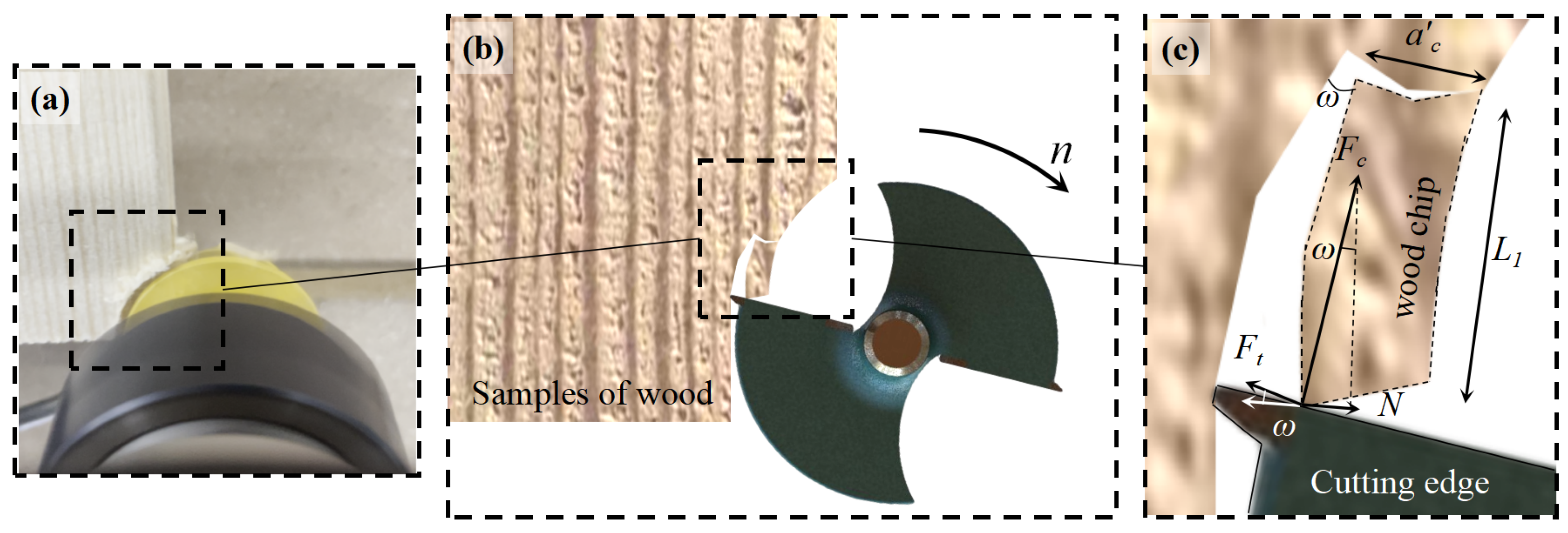 Forests 14 00849 g003