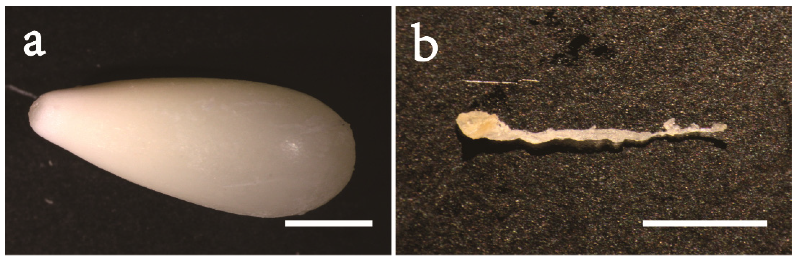 Forests 14 00850 g001