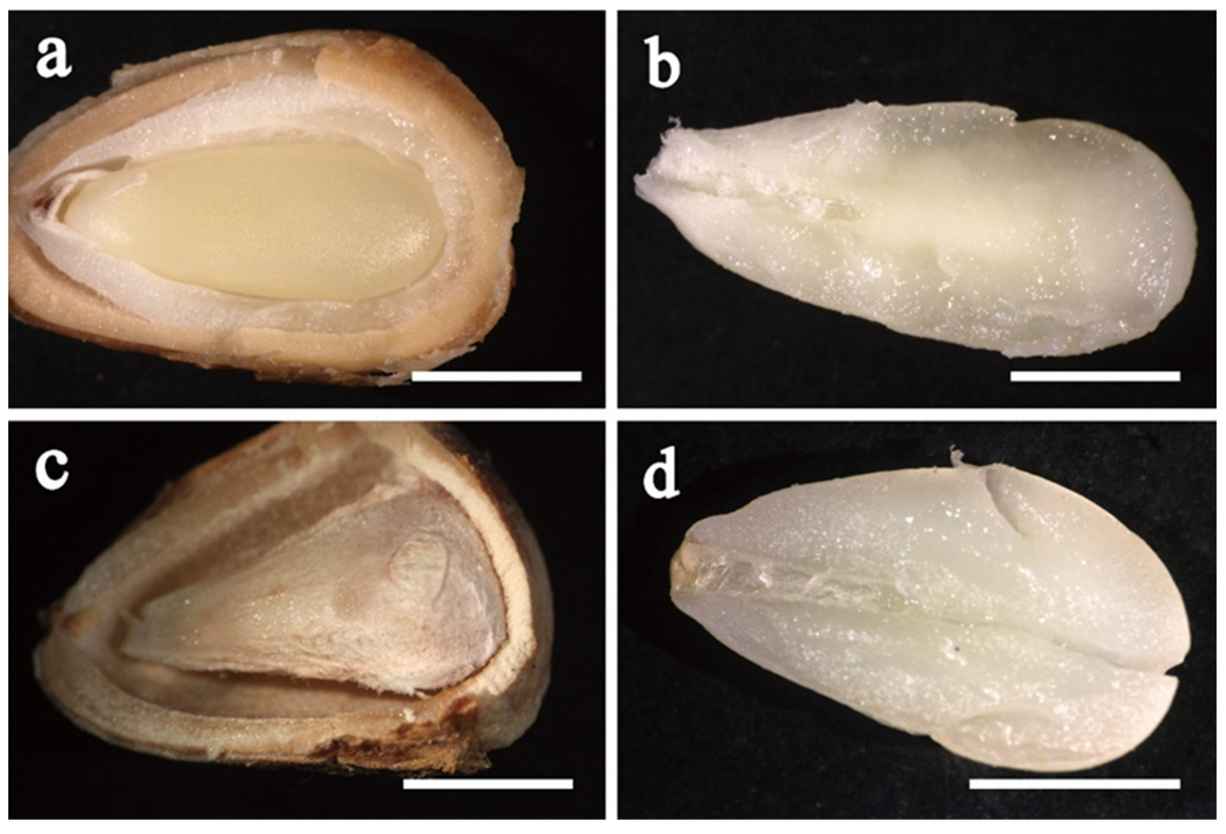 Forests 14 00850 g002