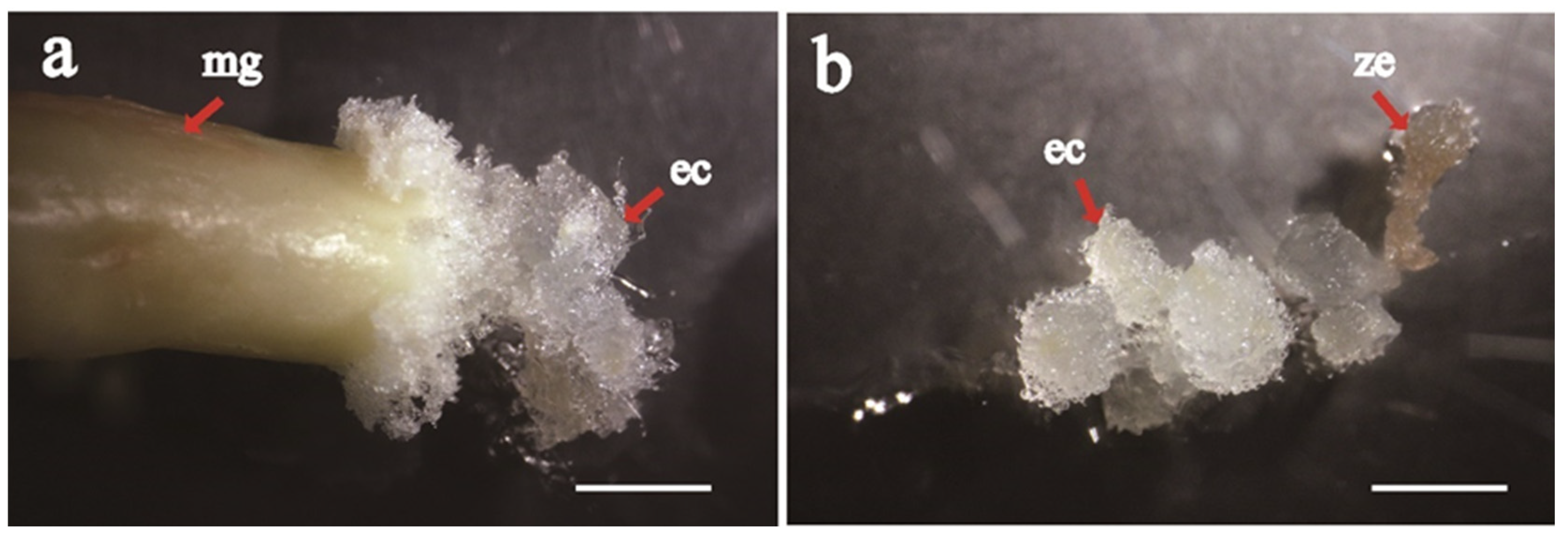 Forests 14 00850 g003