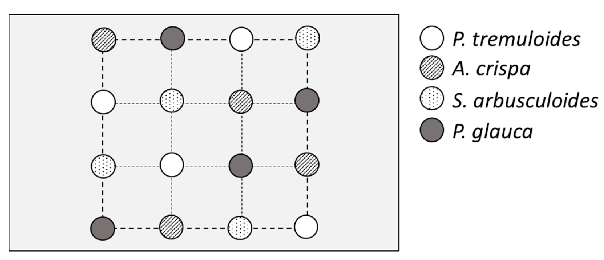 Forests 14 00856 g001 Forests 14 00856 g001