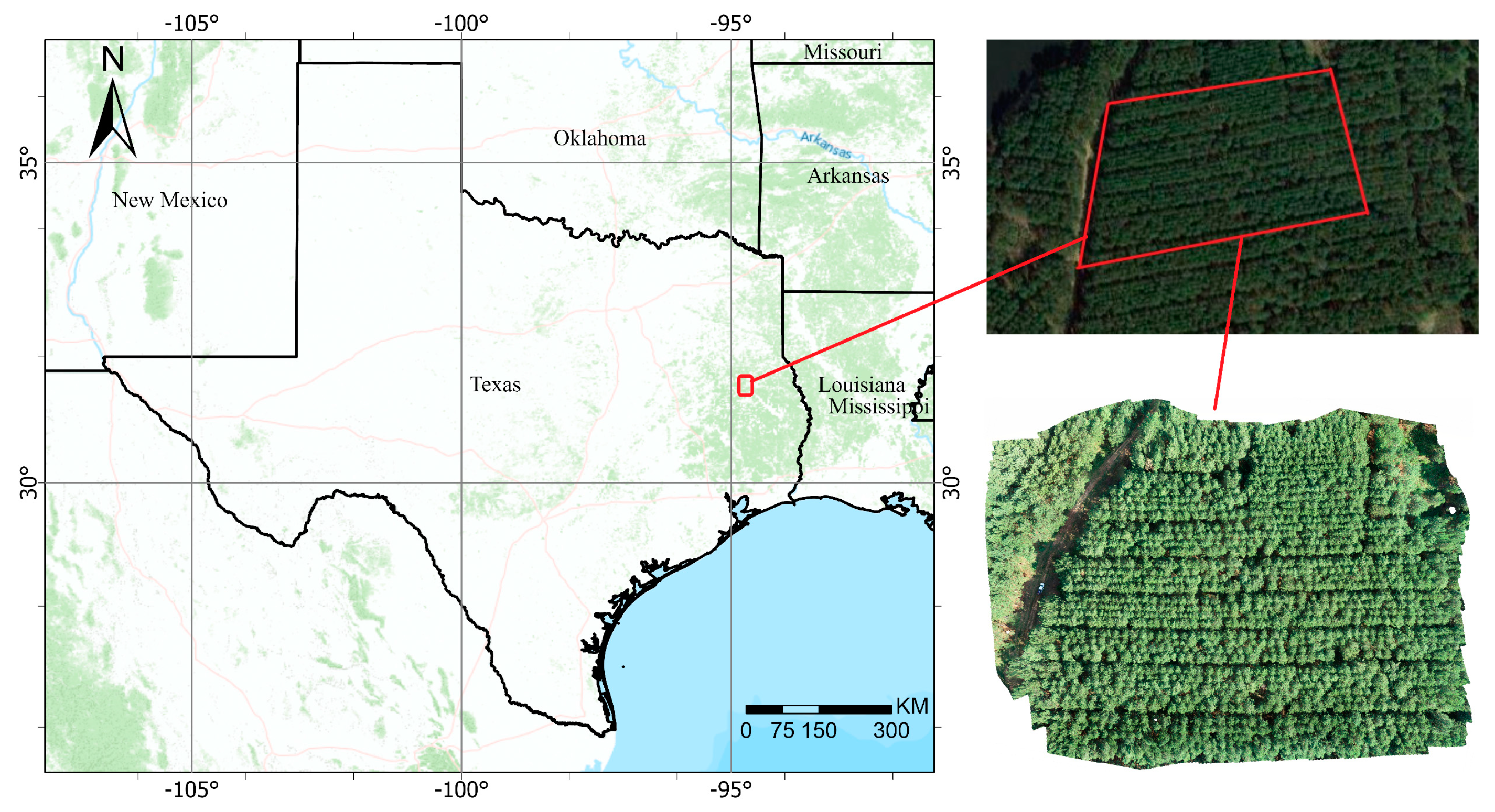 Forests 14 00863 g001