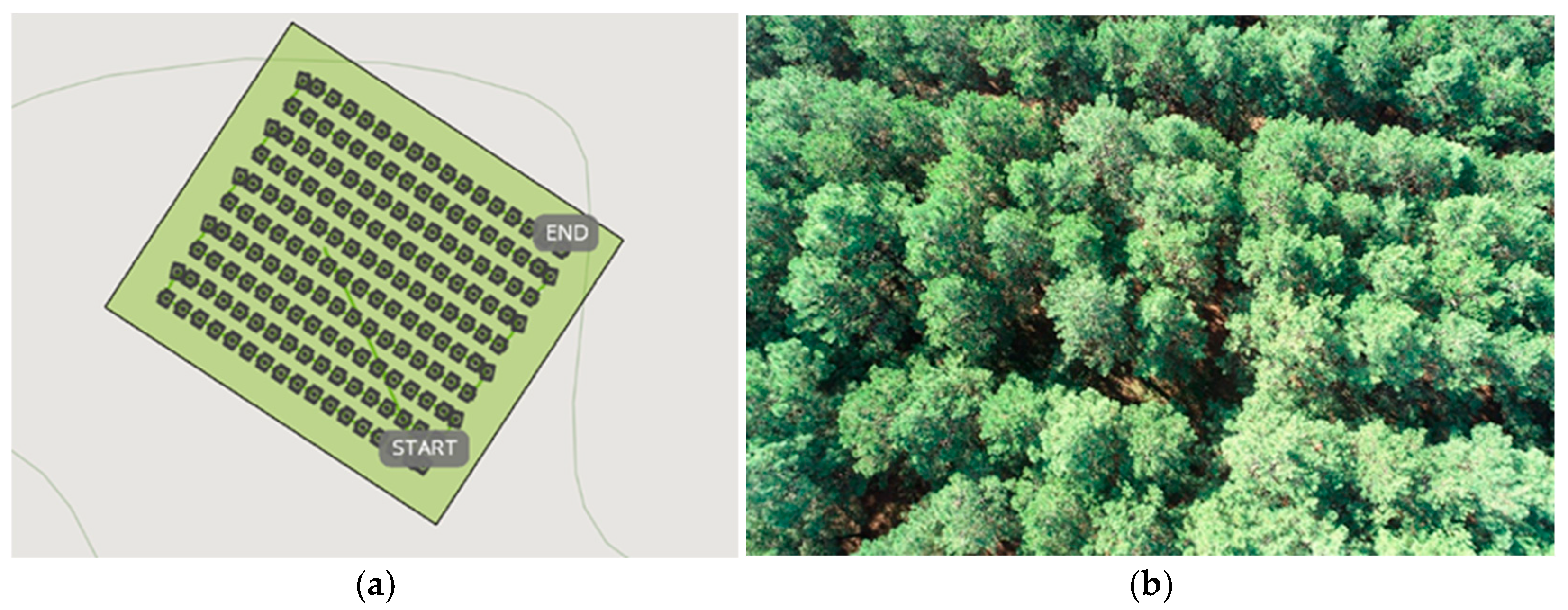 Forests 14 00863 g002