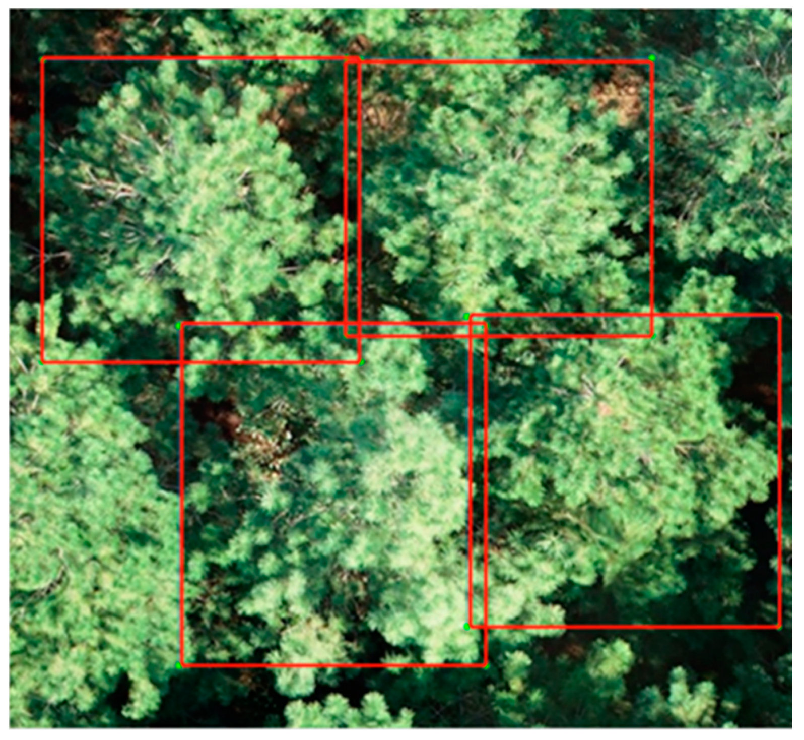 Forests 14 00863 g003