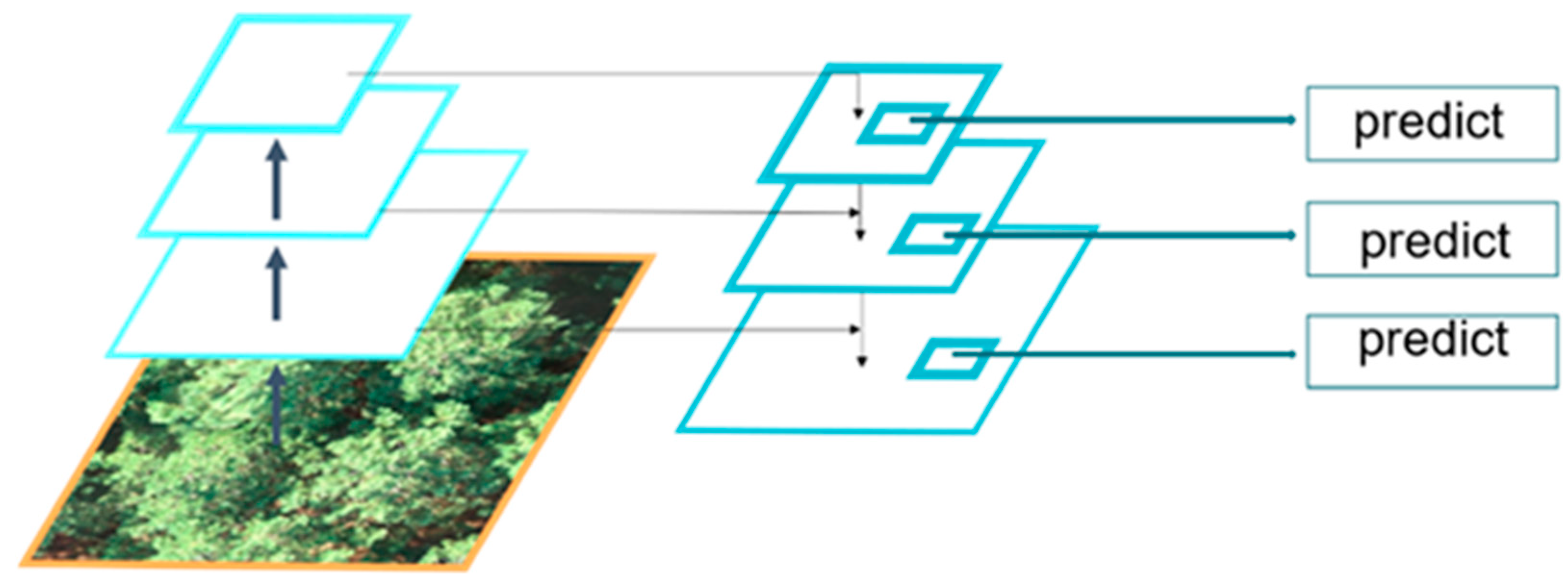 Forests 14 00863 g008