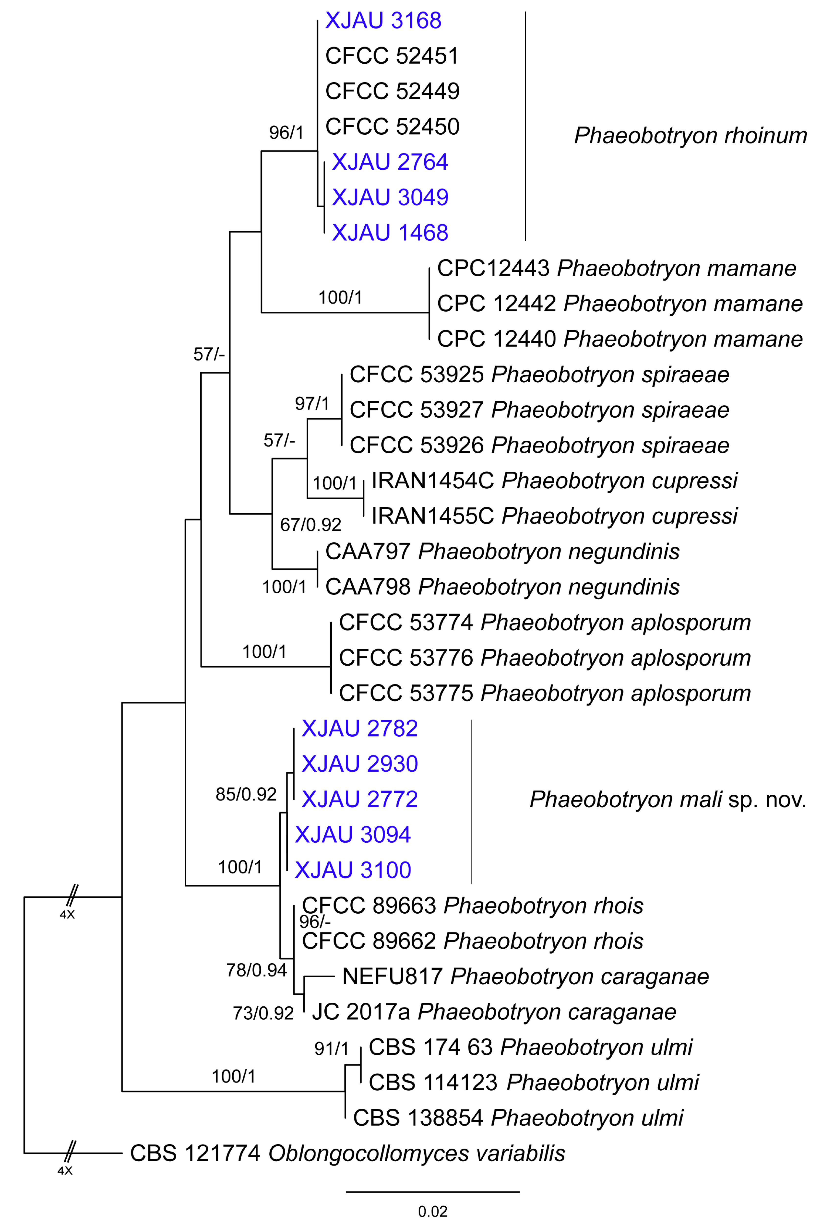 Forests 14 00864 g001
