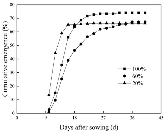 Light intensity for seedlings new arrivals