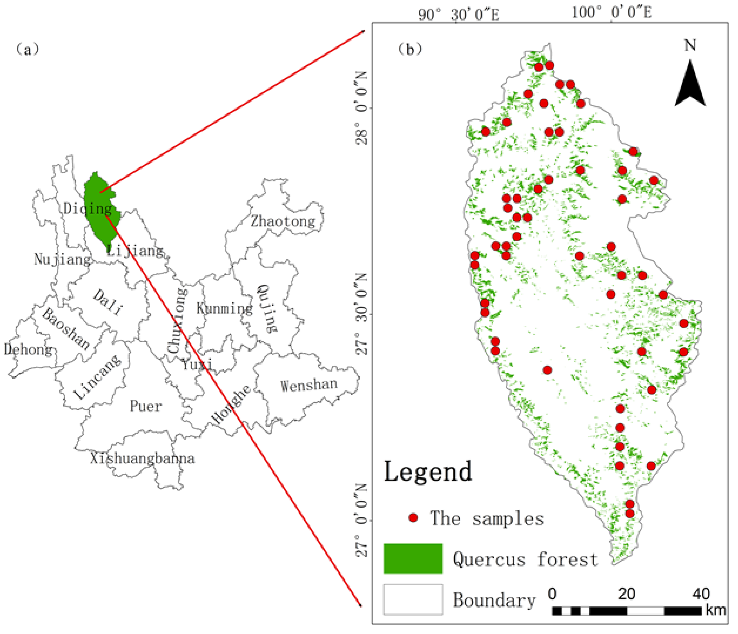 Forests 14 00876 g001 Forests 14 00876 g001