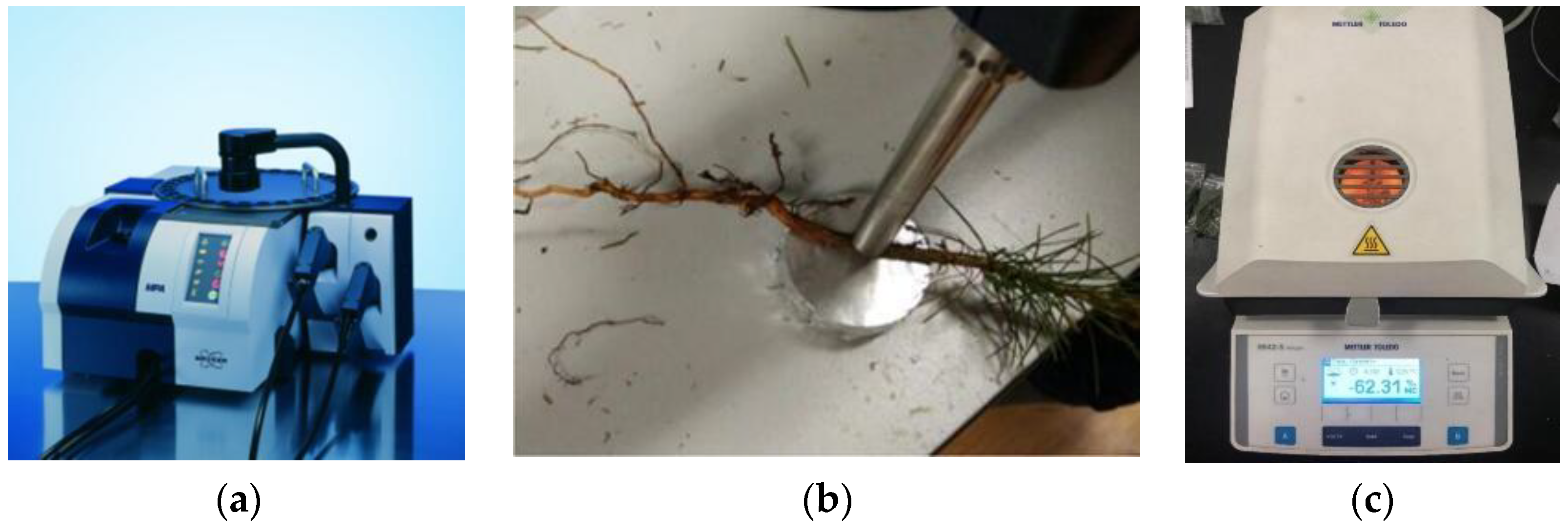 Forests 14 00883 g001 Forests 14 00883 g001