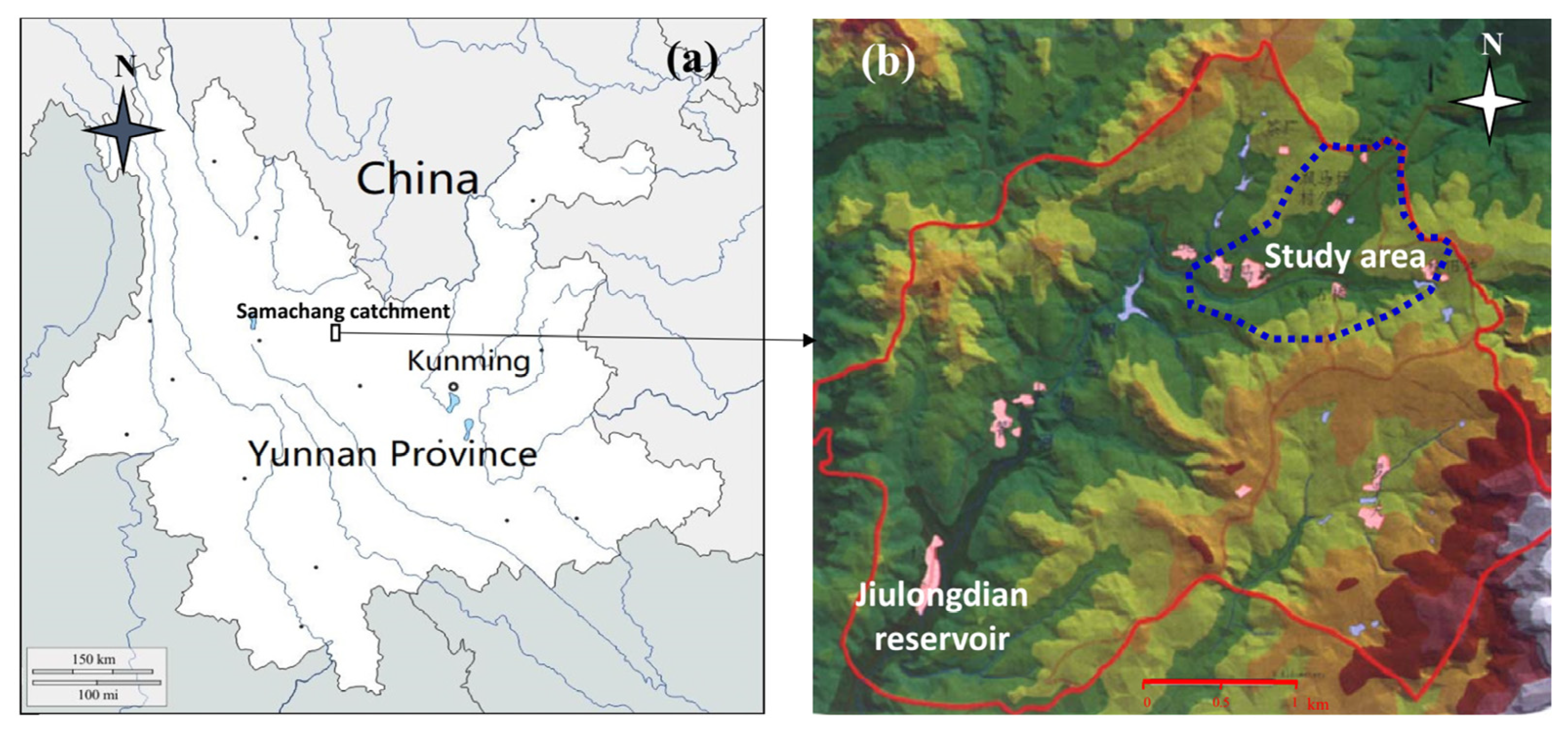 Forests 14 00888 g001