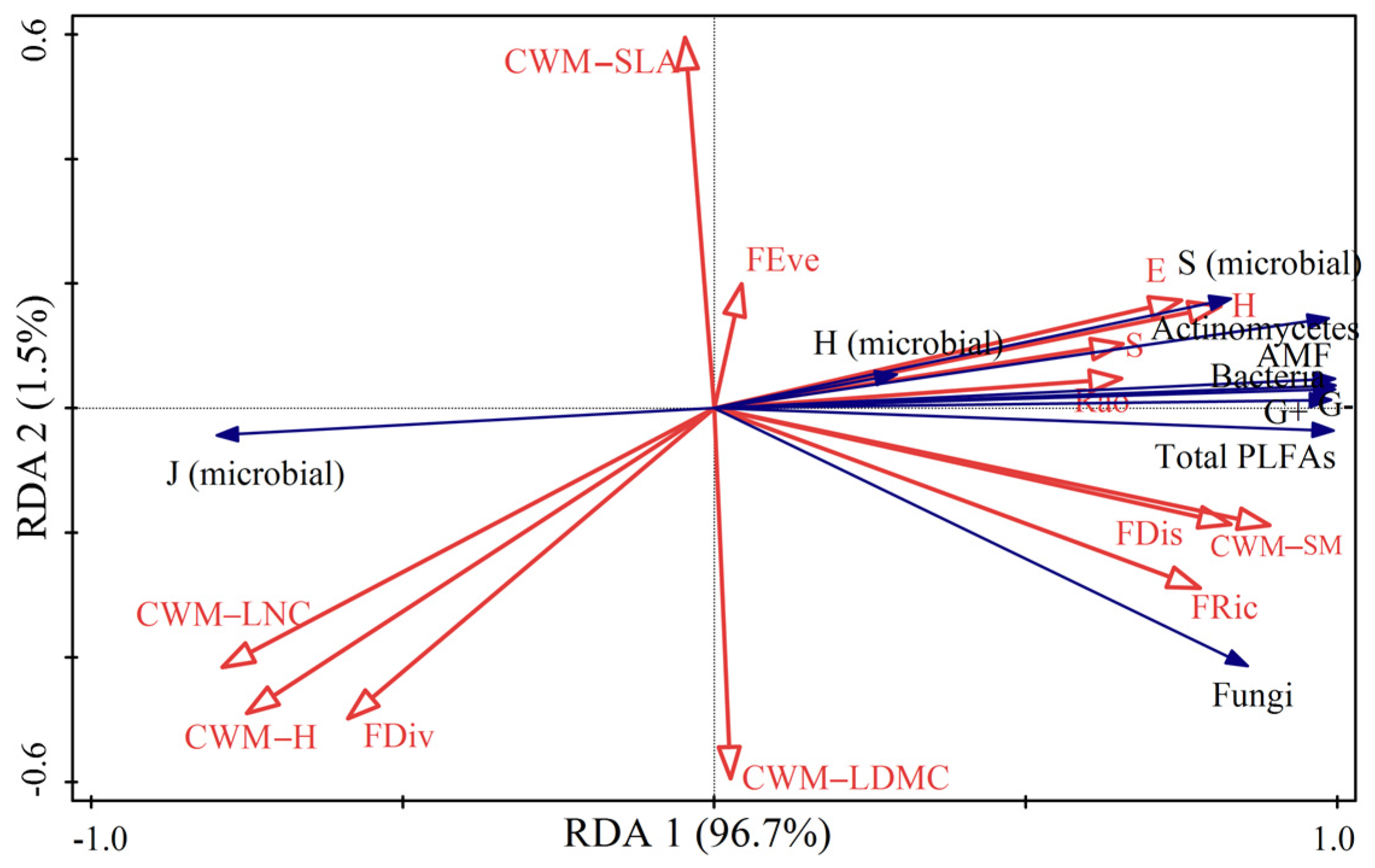 Forests 14 00888 g004