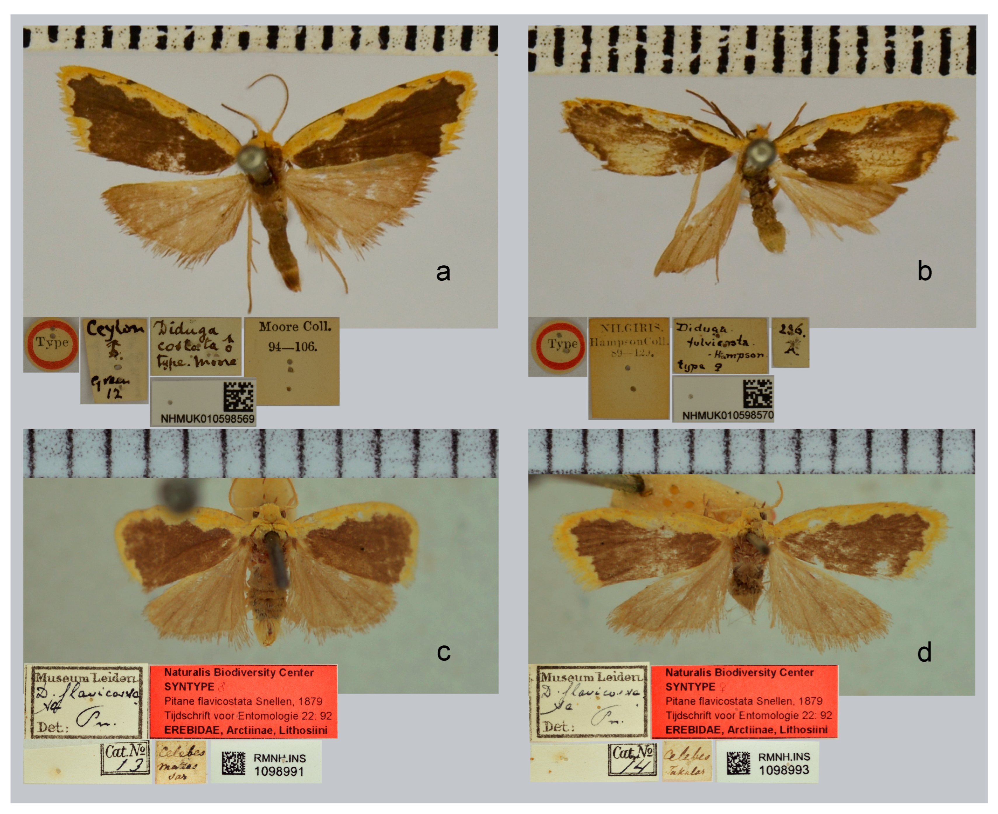 Forests 14 00889 g001