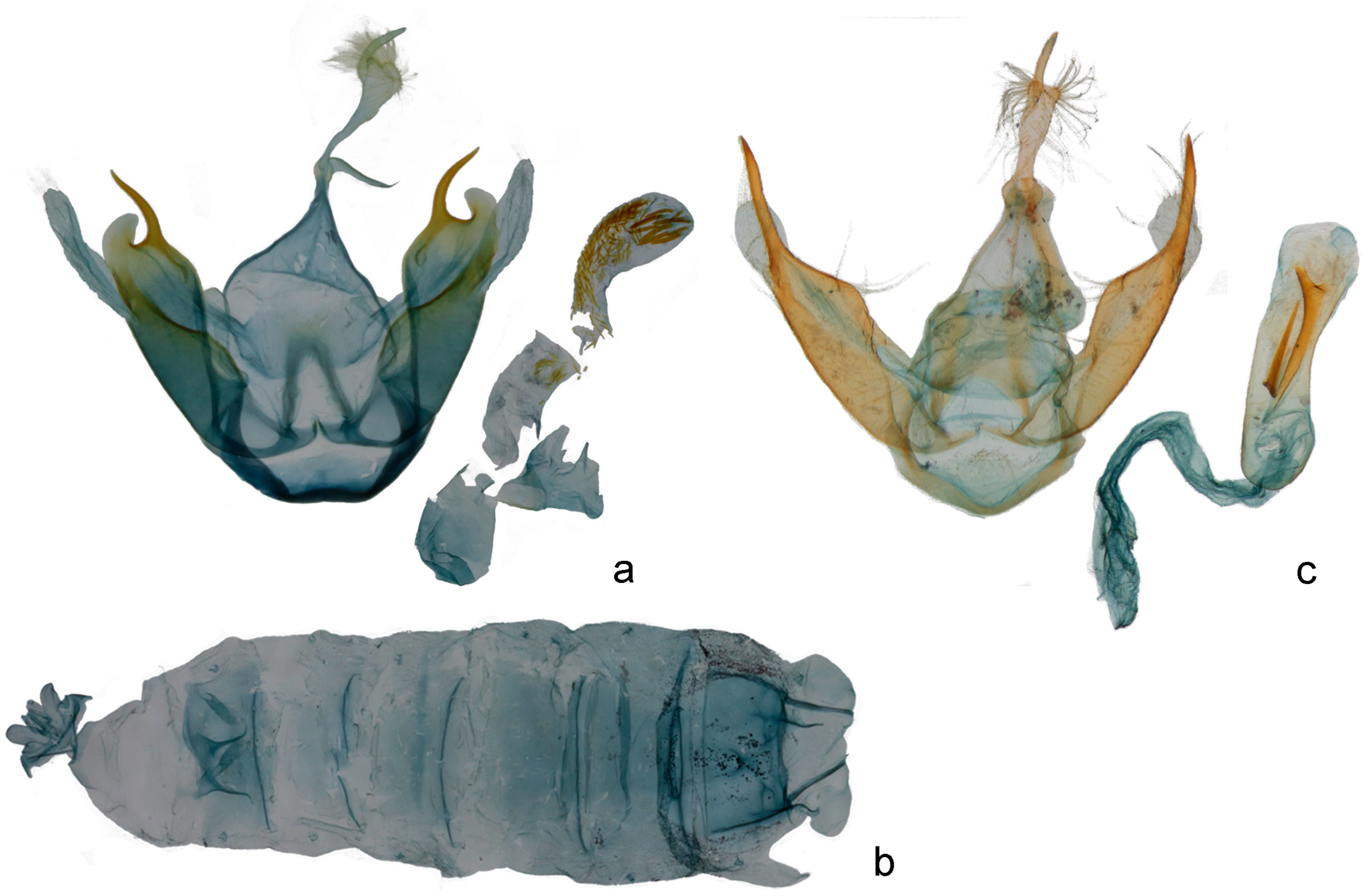 Forests 14 00889 g002