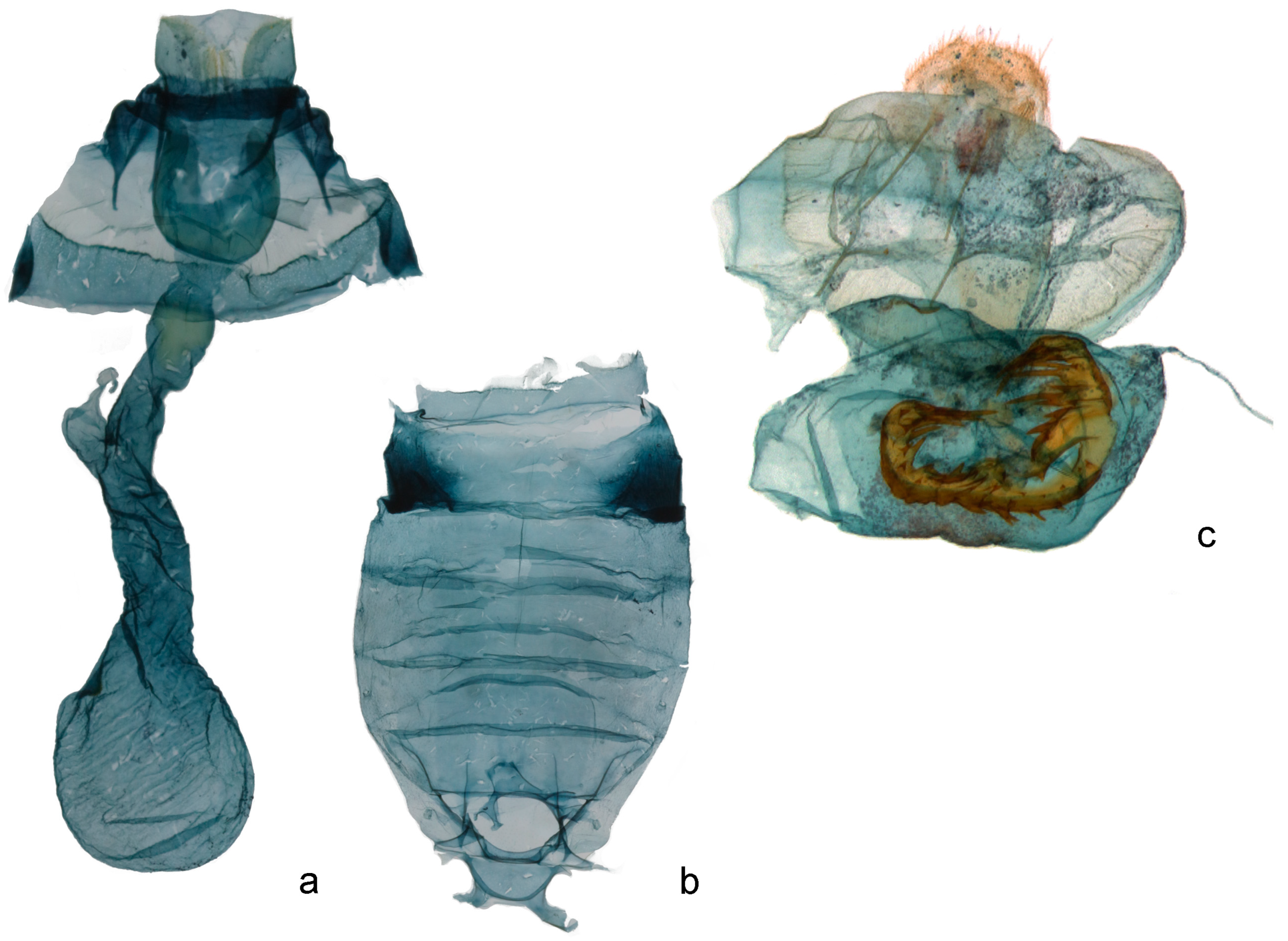 Forests 14 00889 g003