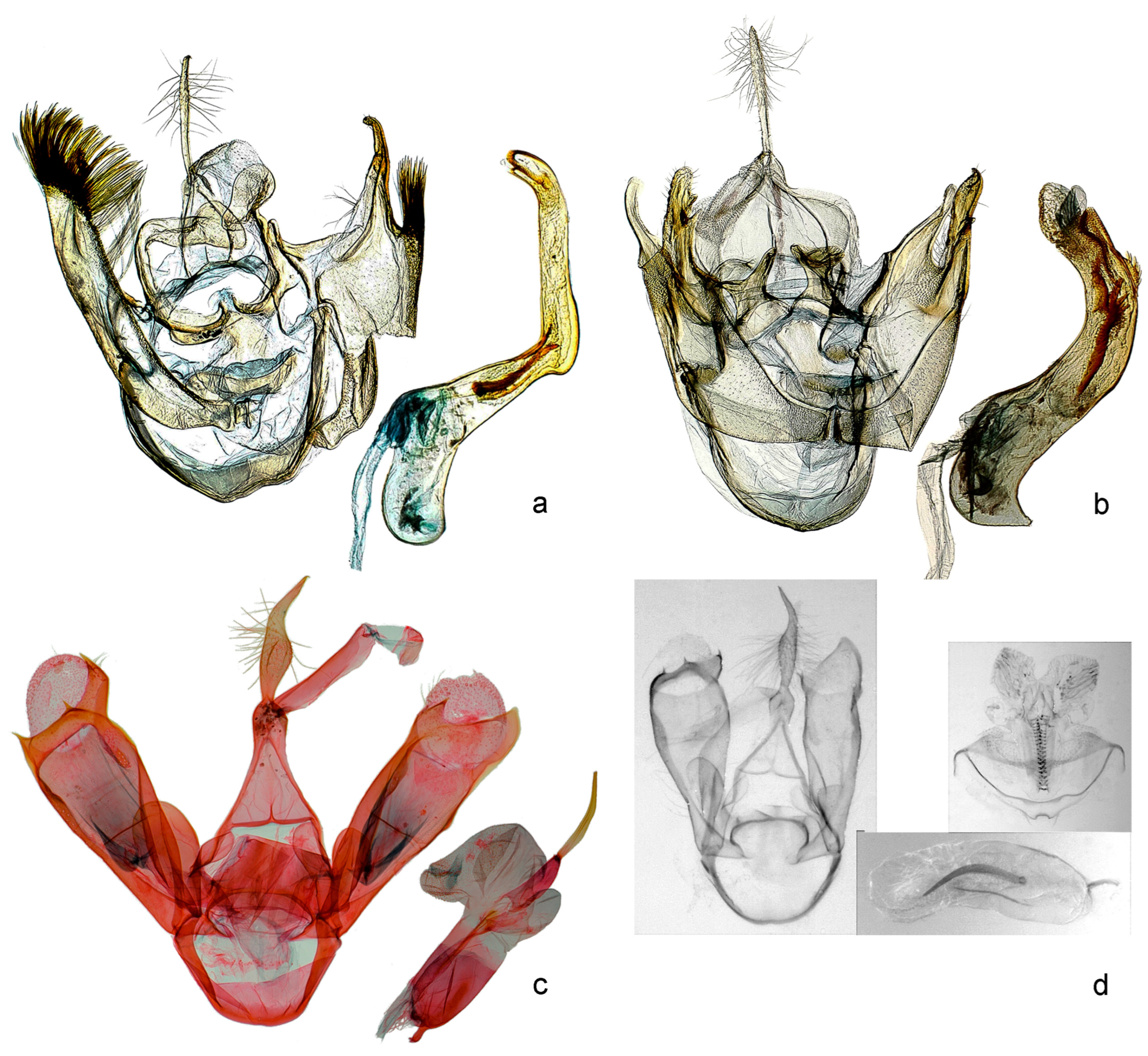 Forests 14 00889 g005