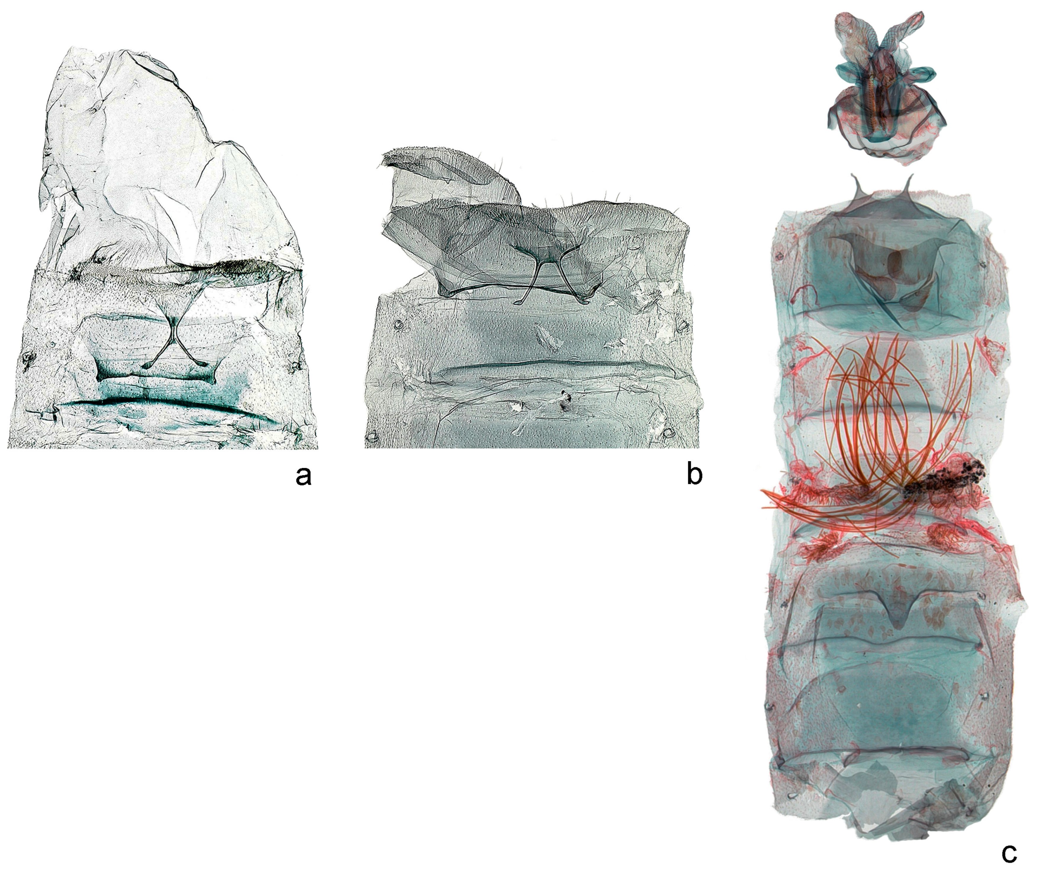 Forests 14 00889 g006