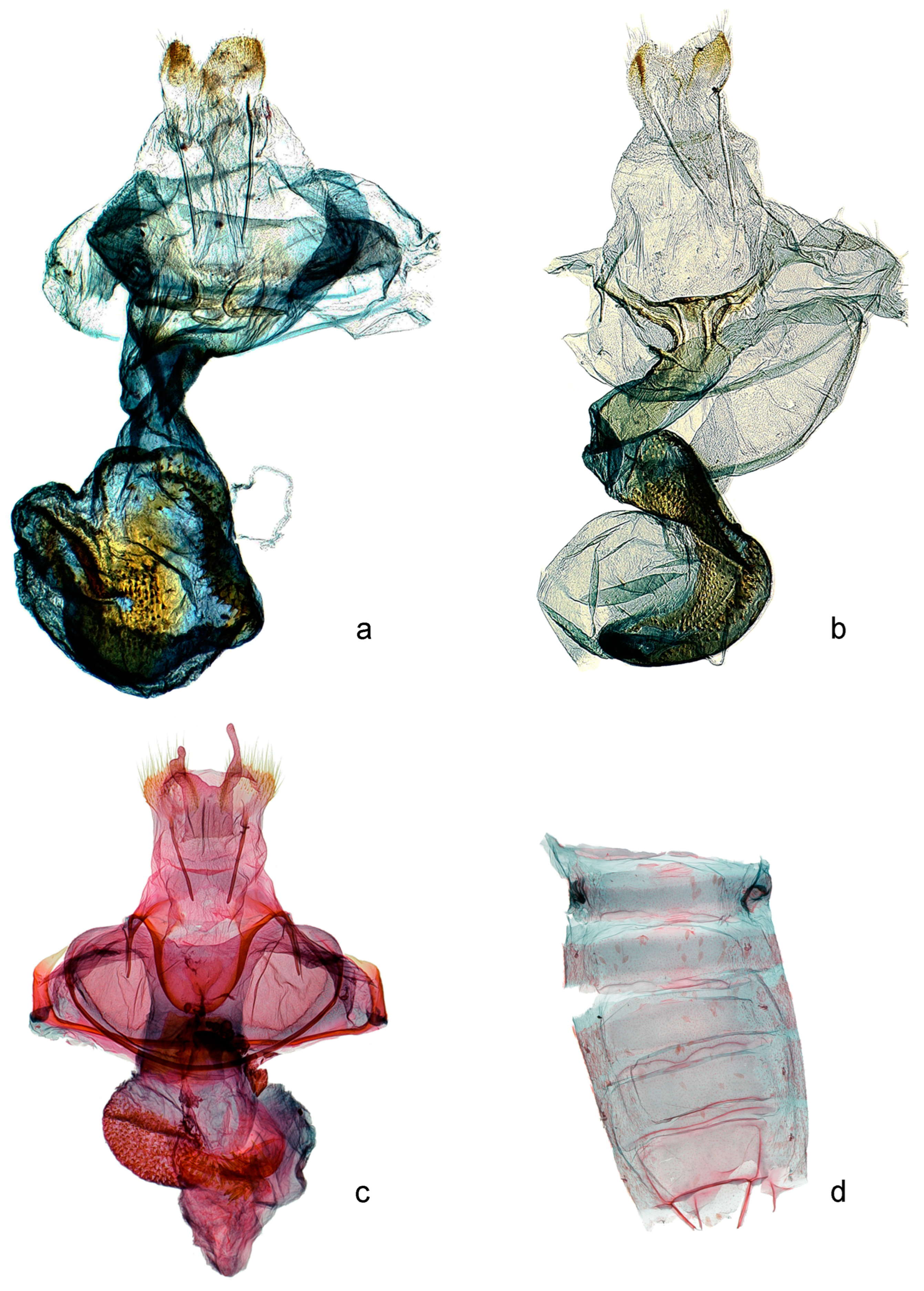 Forests 14 00889 g007